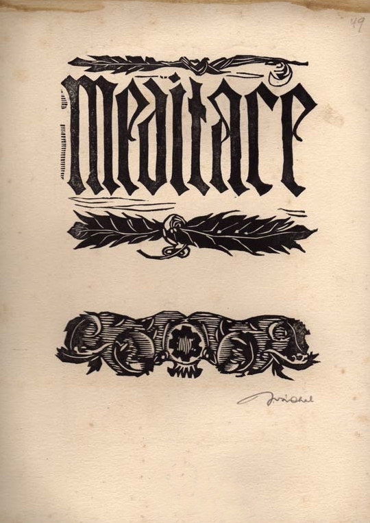 Náhledový obrázek Ilustrace - Upír - 2