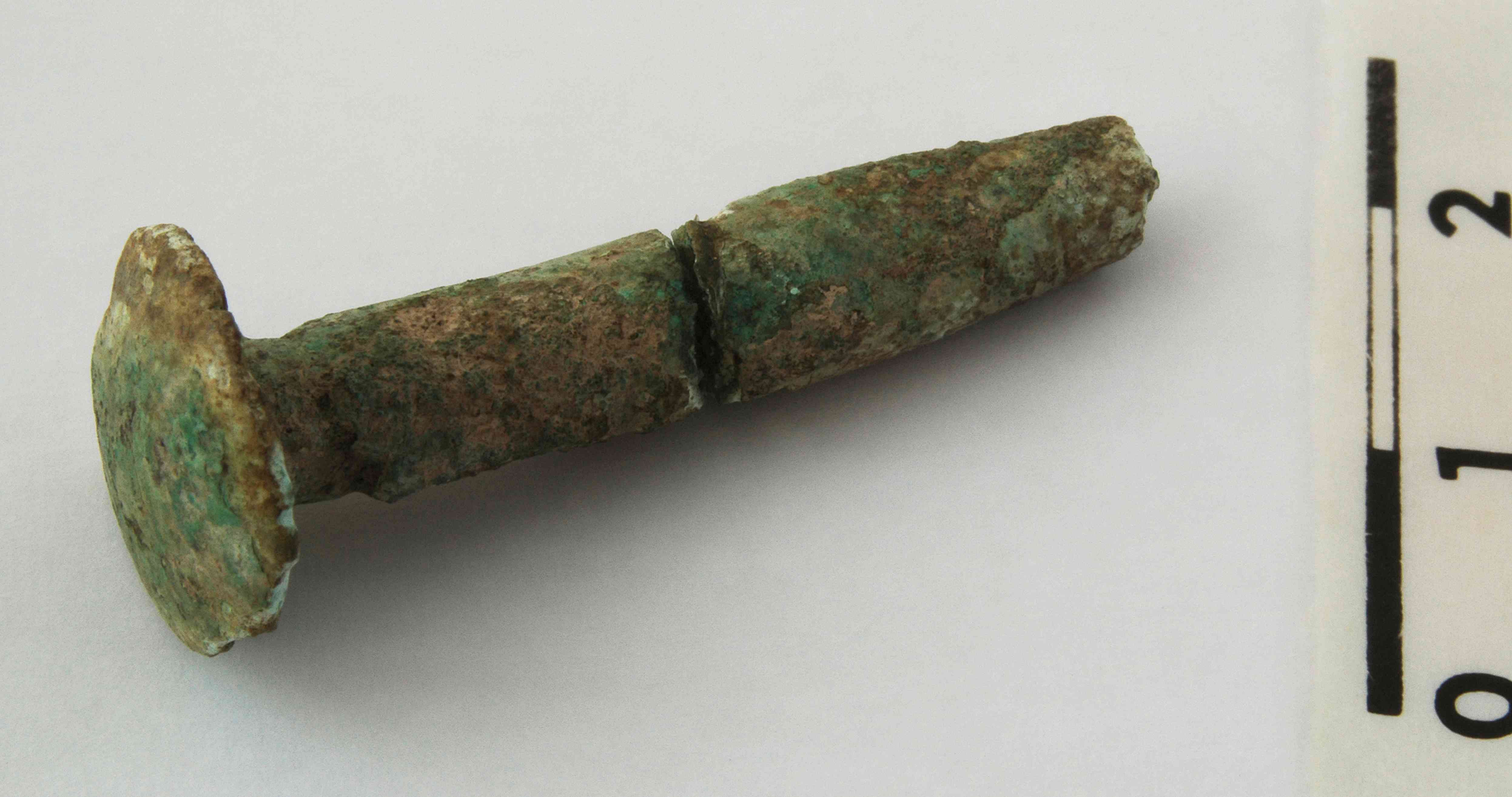 Náhledový obrázek Jehlice (část) - 1