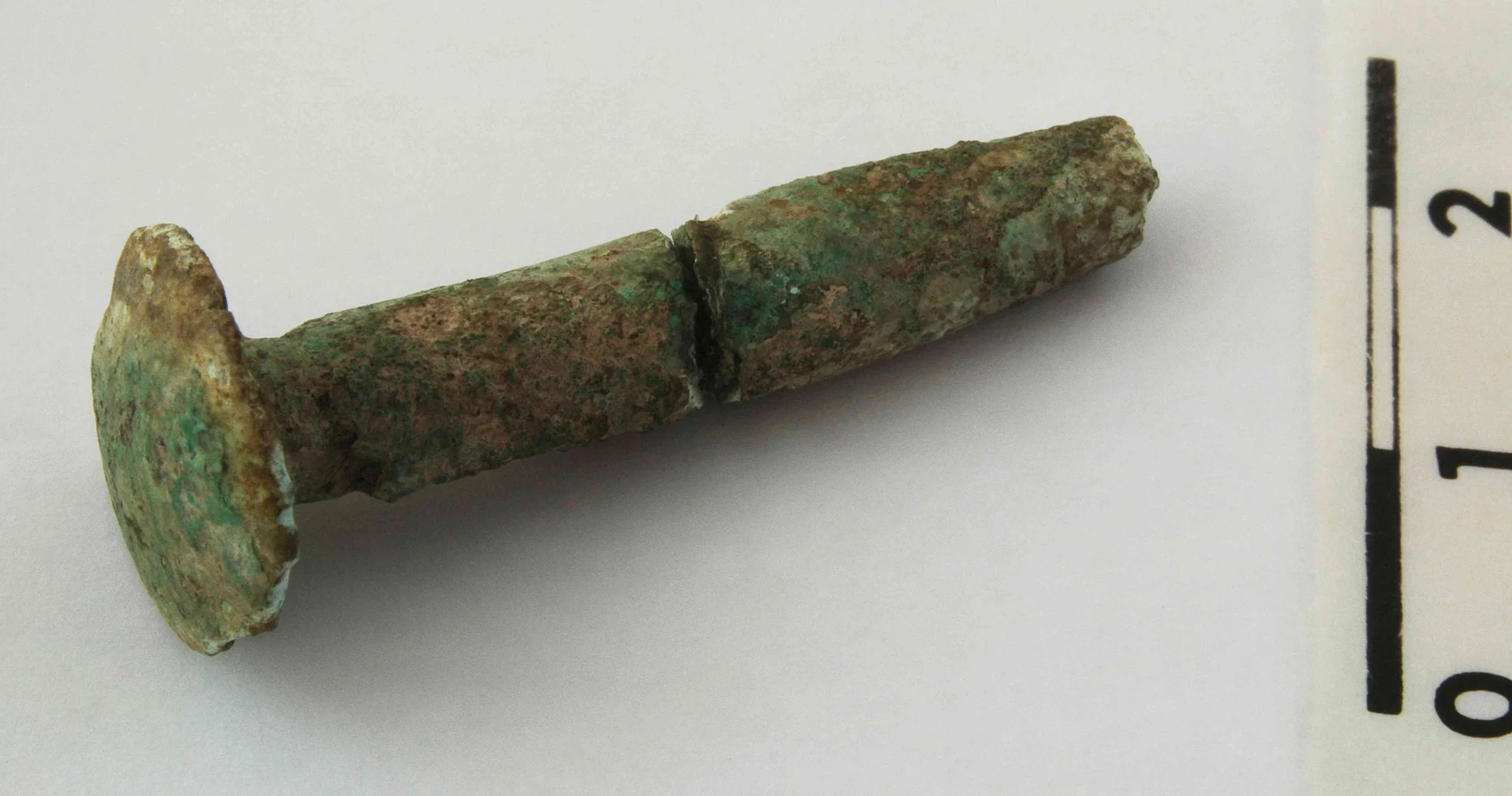 Obrázek Jehlice (část)