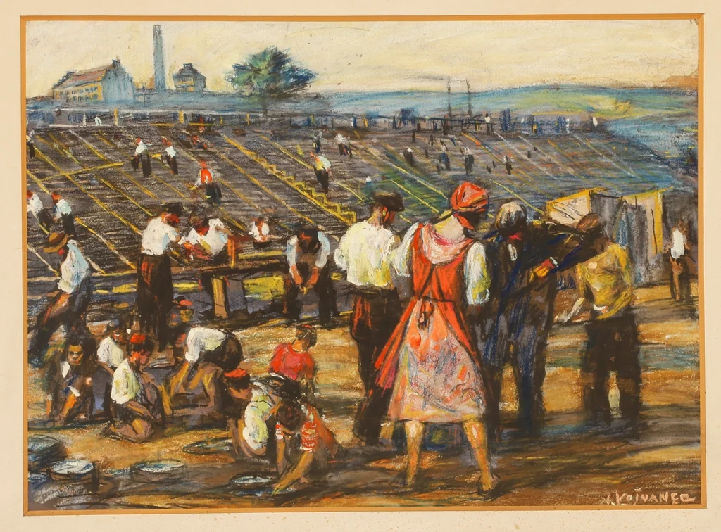 Náhledový obrázek předmětu Stavba maninského stadionu