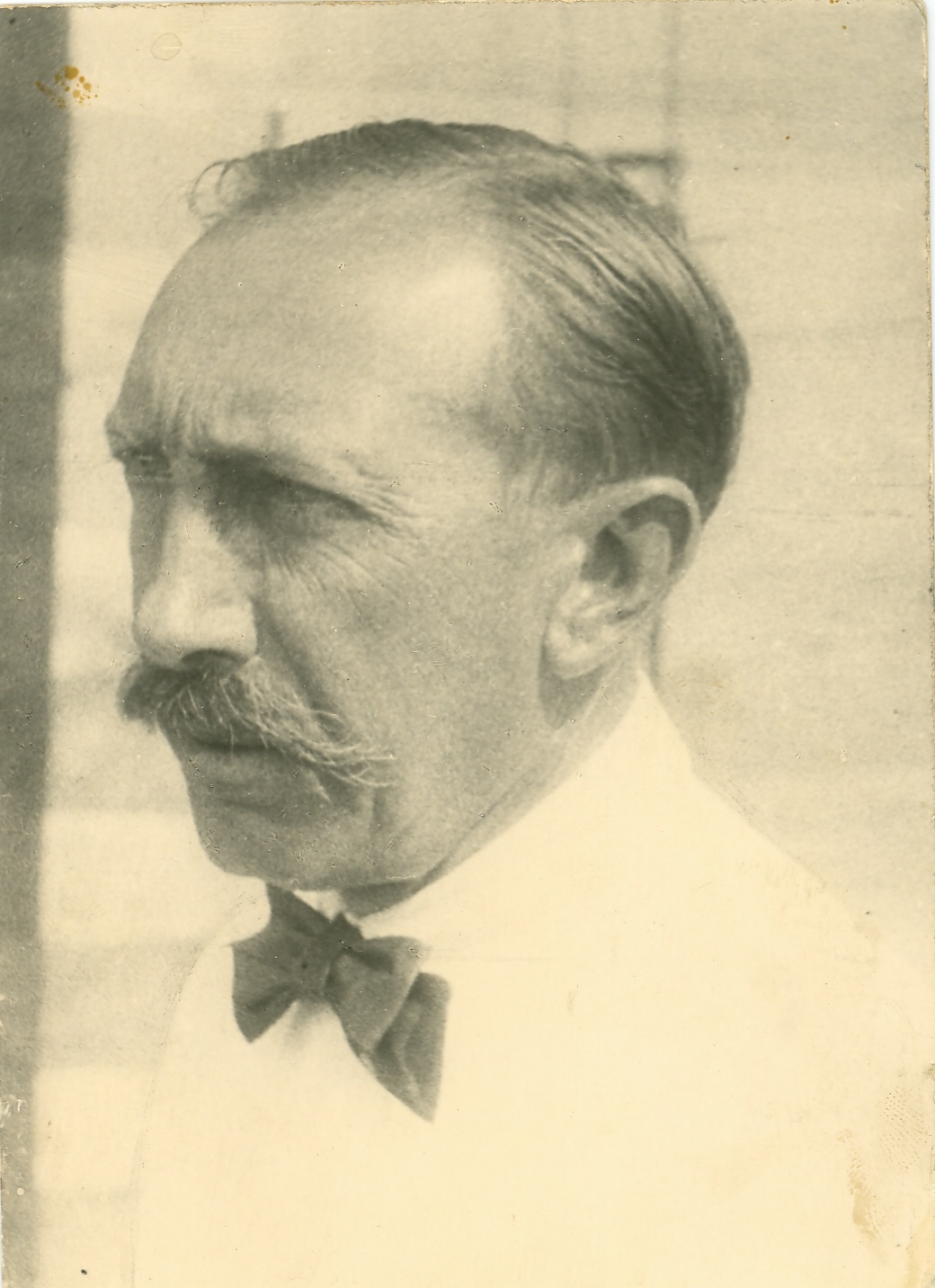 Náhledový obrázek Fotografie - 1