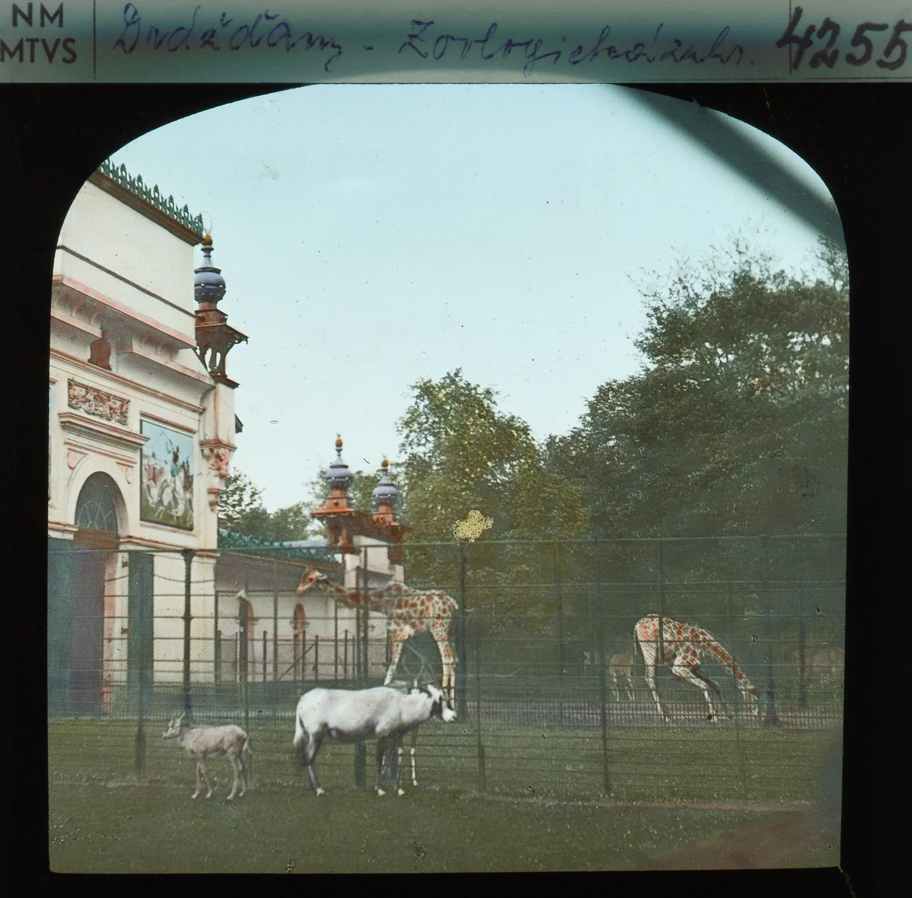 Náhledový obrázek předmětu Dresden