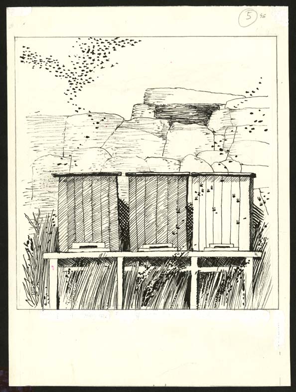 Náhledový obrázek Ilustrace - Kluk od vody - 1