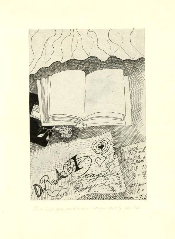 Náhledový obrázek předmětu Ilustrace - Když zrají jahody