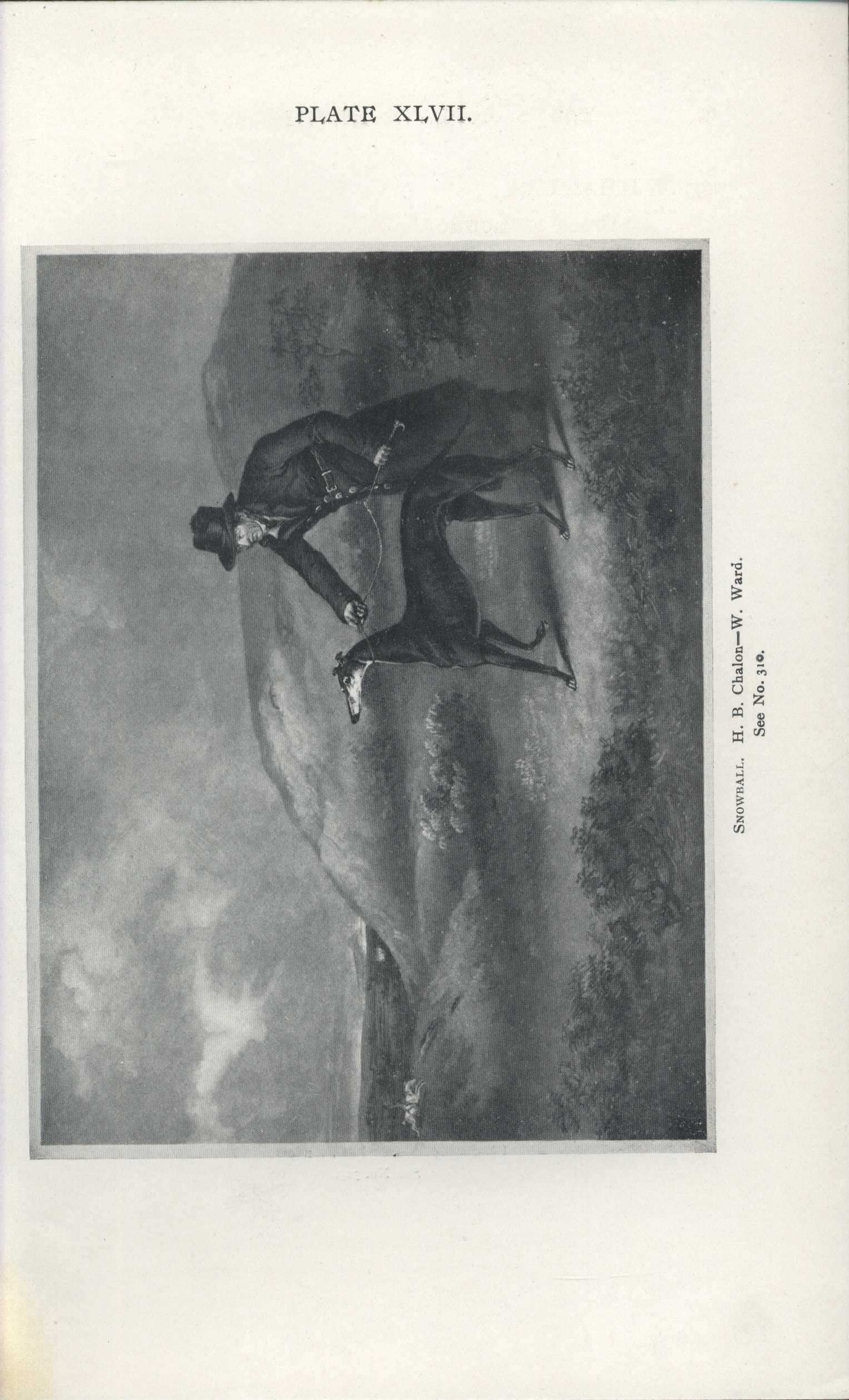 Náhledový obrázek A choice collection of engraved portraits, decorative engravings, and sporting prints - 49