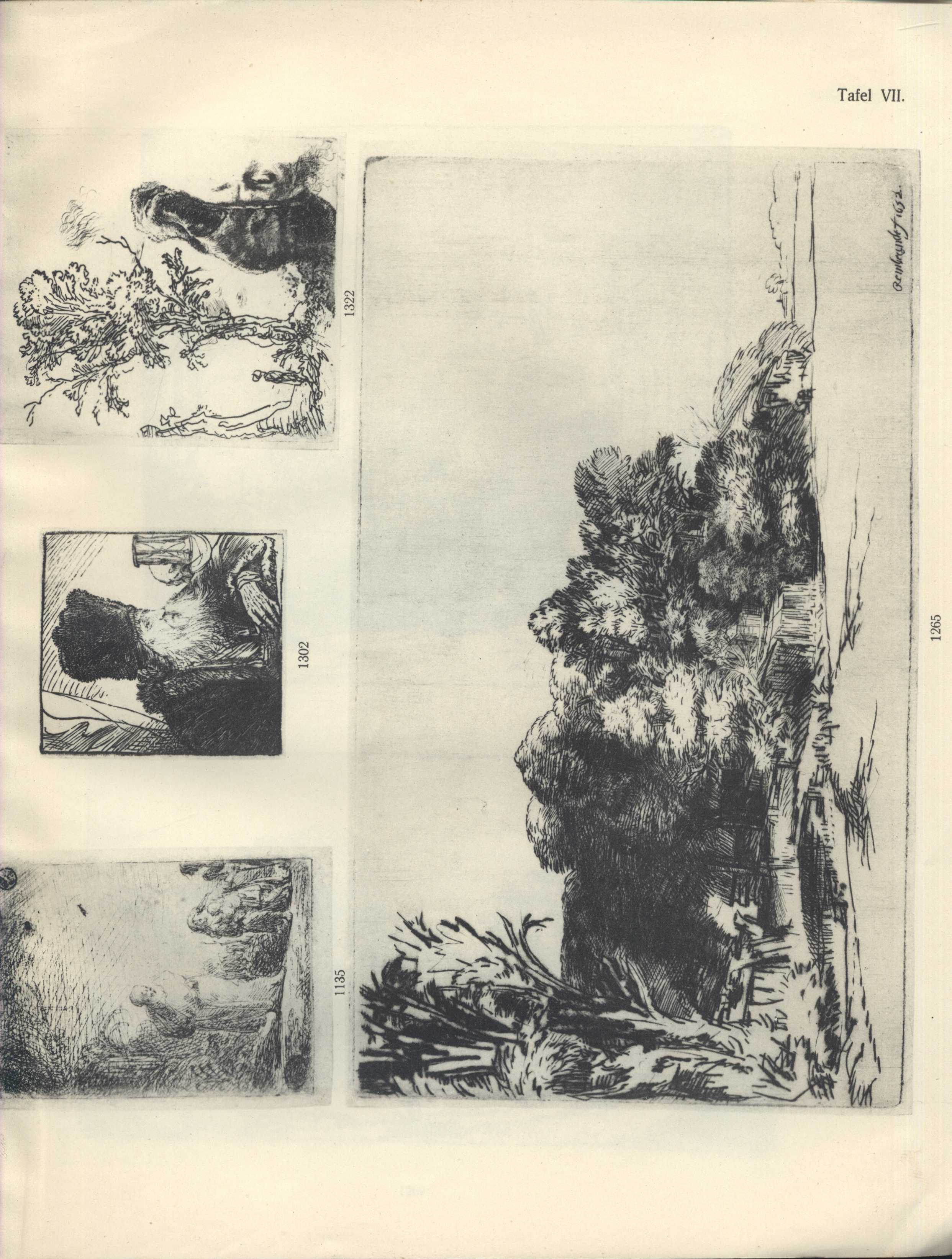 Náhledový obrázek Katalog wertvoller und seltener Blätter aus den Sammlungen der Herren Landgerichtsrat a. D. Peltzer, Köln; Graf Grégoire Stroganoff, Rom; Friedrich Schindler, Lindau - 10