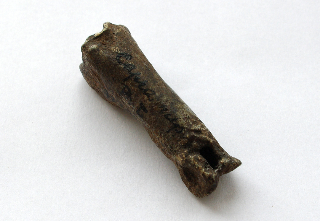 Náhledový obrázek Kostěná píšťalka - 1