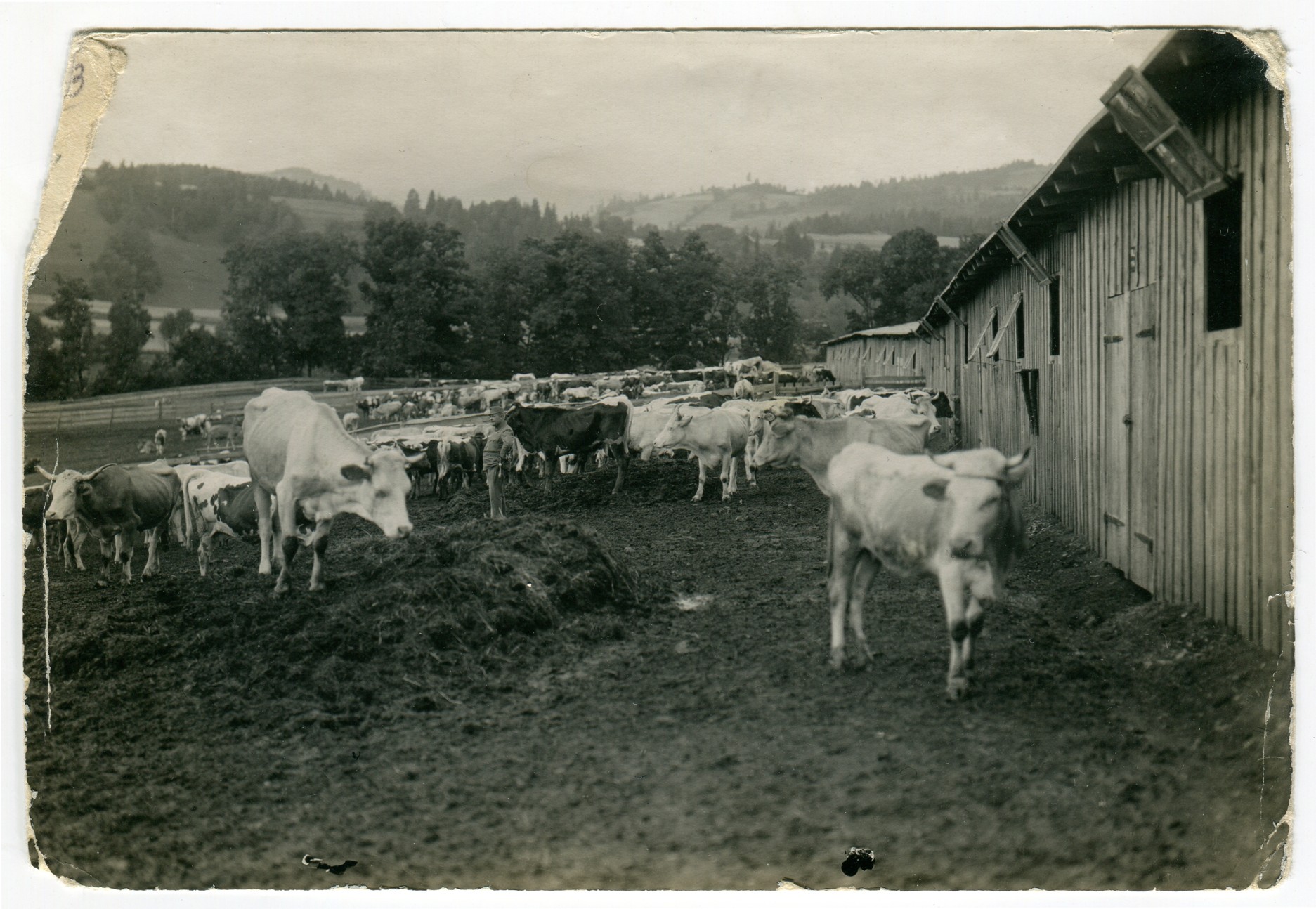 Náhledový obrázek Fotografie z italské fronty - 2