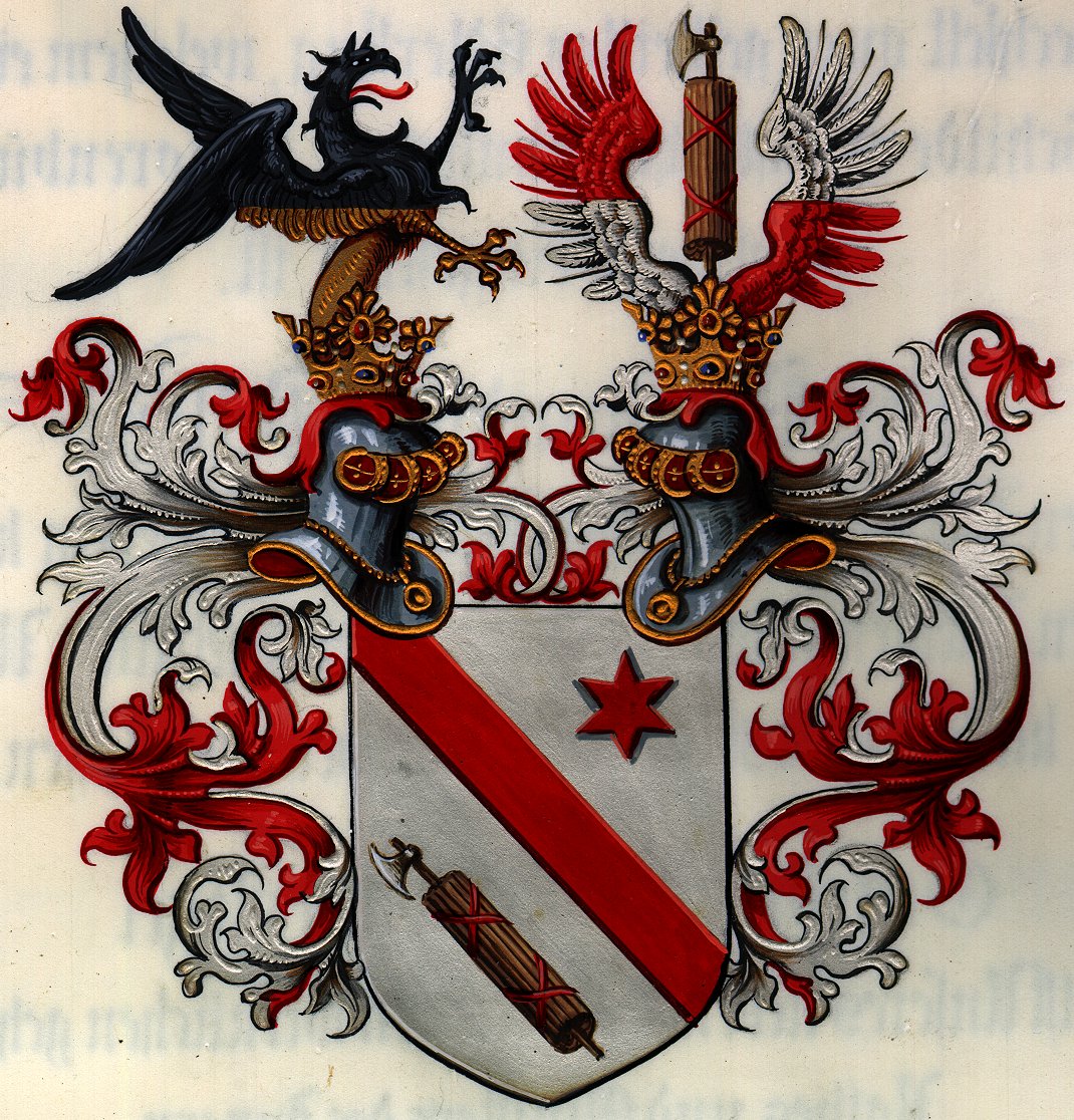 Náhledový obrázek Císař František Josef I. povyšuje Ignaze Boresche, vicepresidenta vrchního zemského soudu v Praze, na základě Leopoldova řádu uděleného 22. prosince 1872, do rytířského stavu, uděluje mu predikát Ritter von a erb - 1