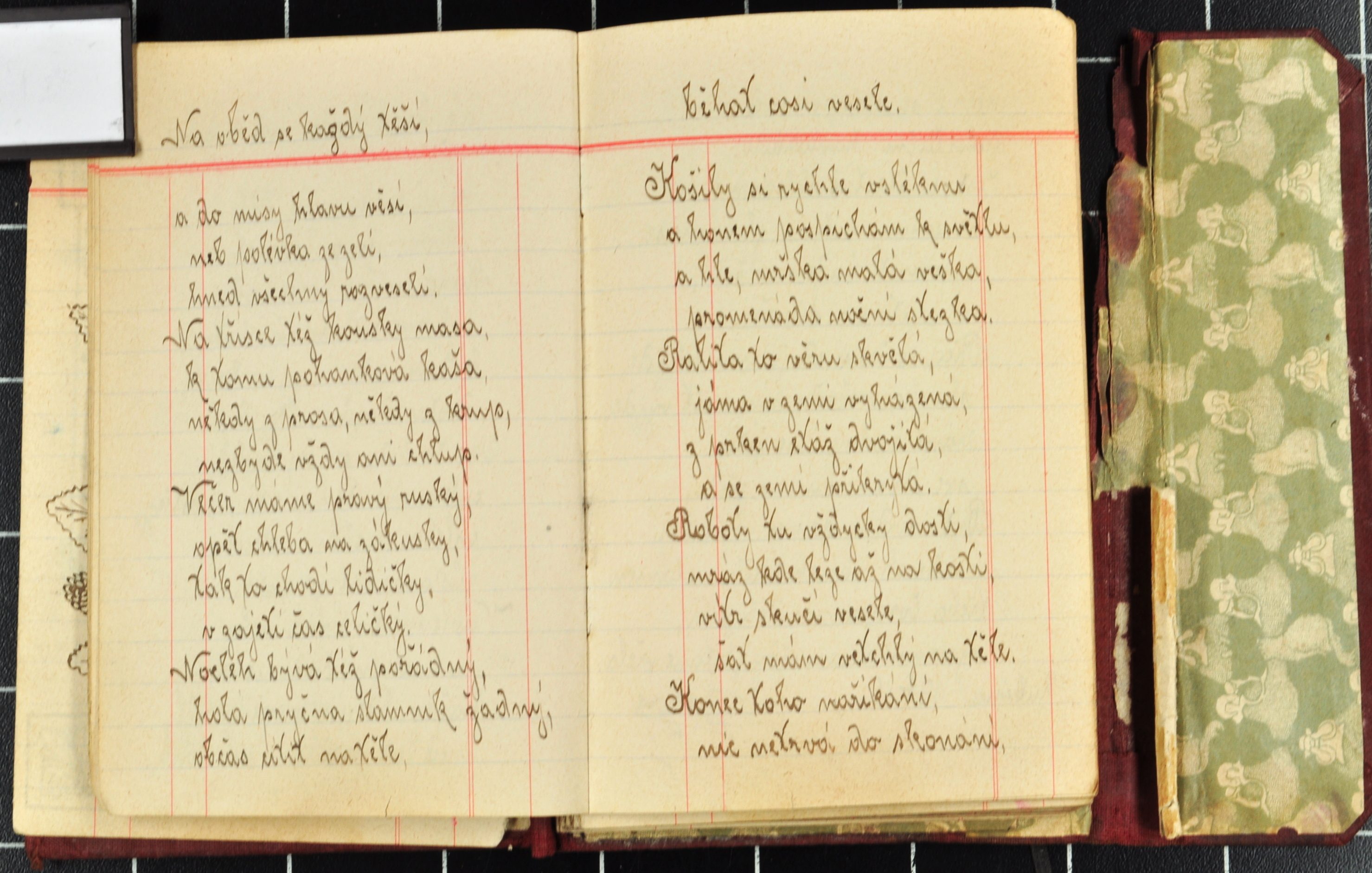 Náhledový obrázek Sbírka poezie - 21