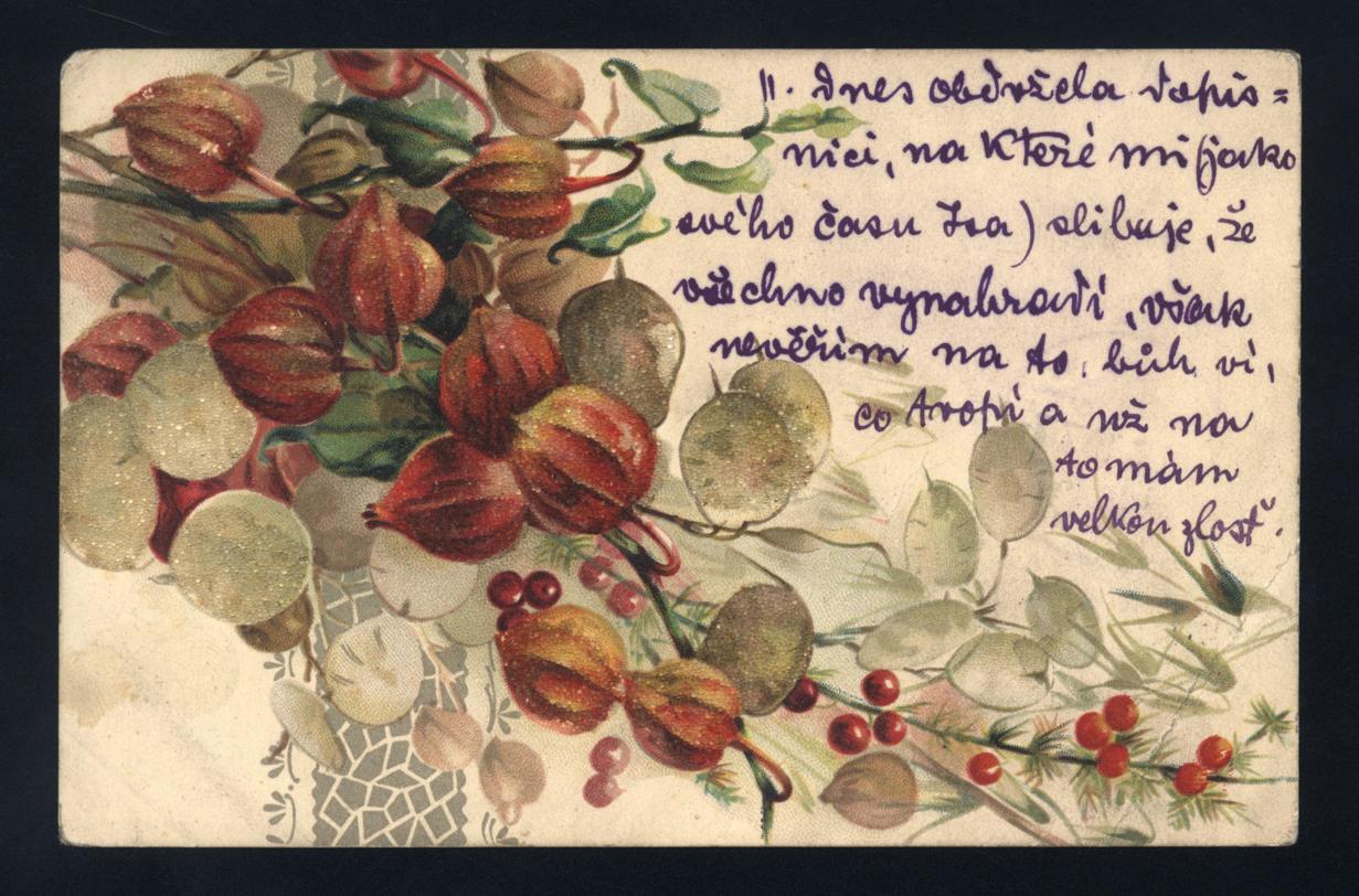 Náhledový obrázek Pohlednice Emy Destinnové - 1