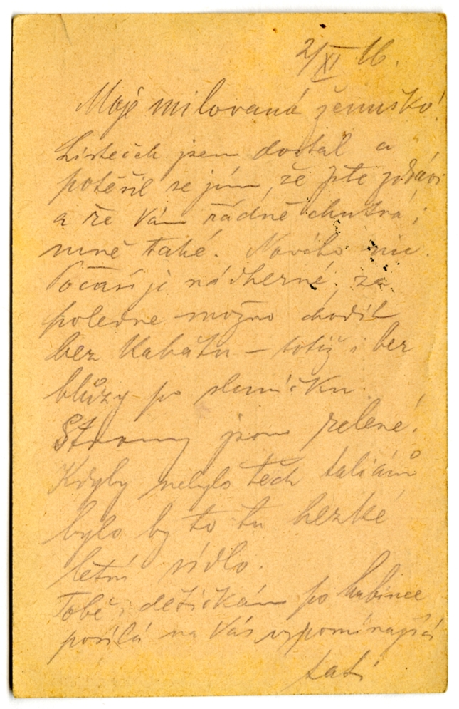 Náhledový obrázek Korespondence Josefa Dvořáka - 36