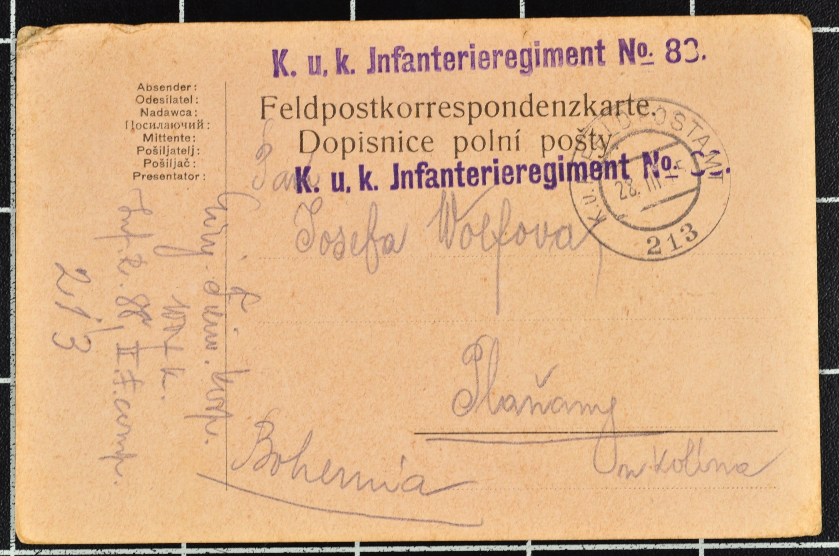 Náhledový obrázek Korespondence Karla Wolfa - 156