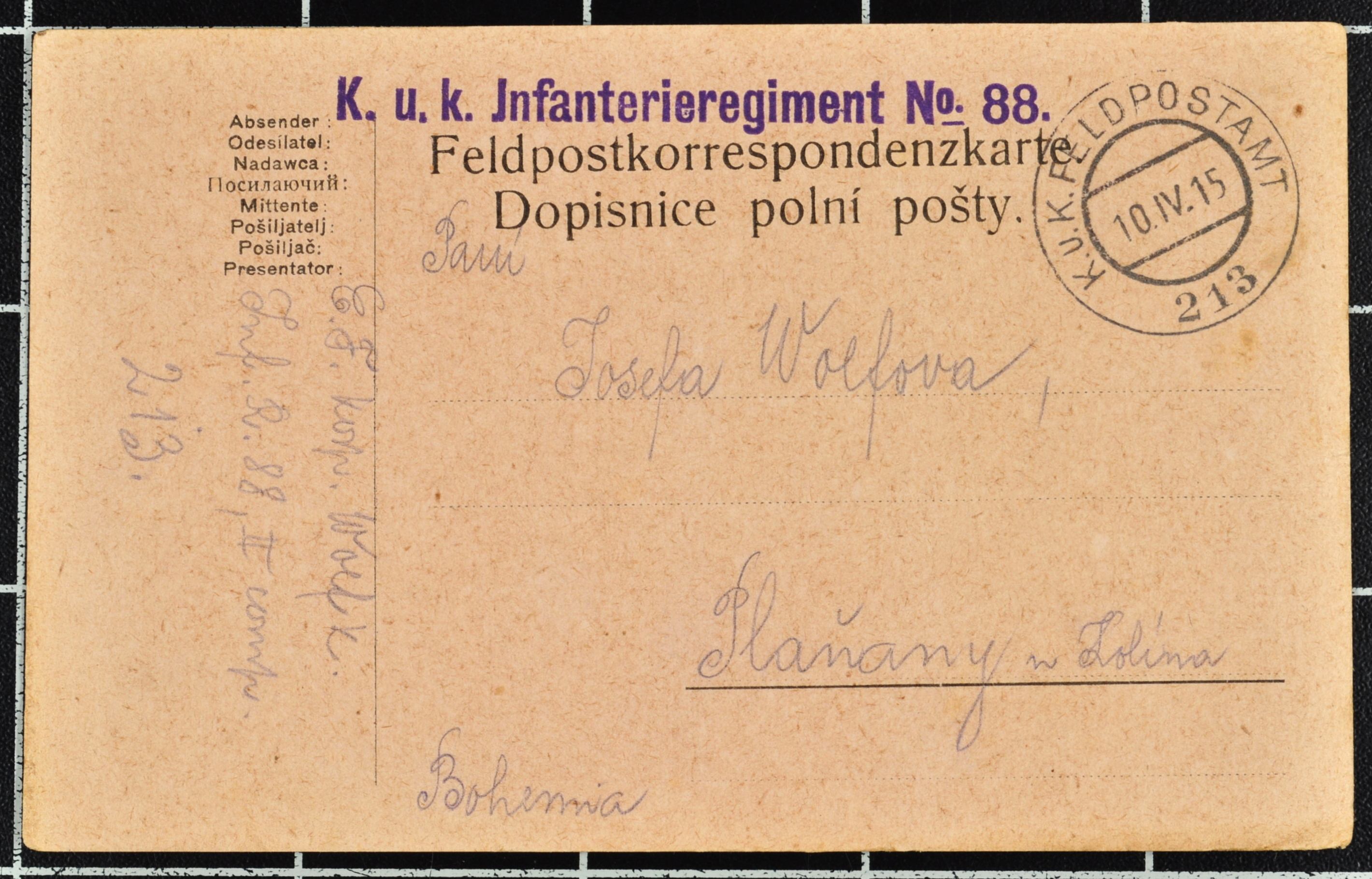 Náhledový obrázek Korespondence Karla Wolfa - 176