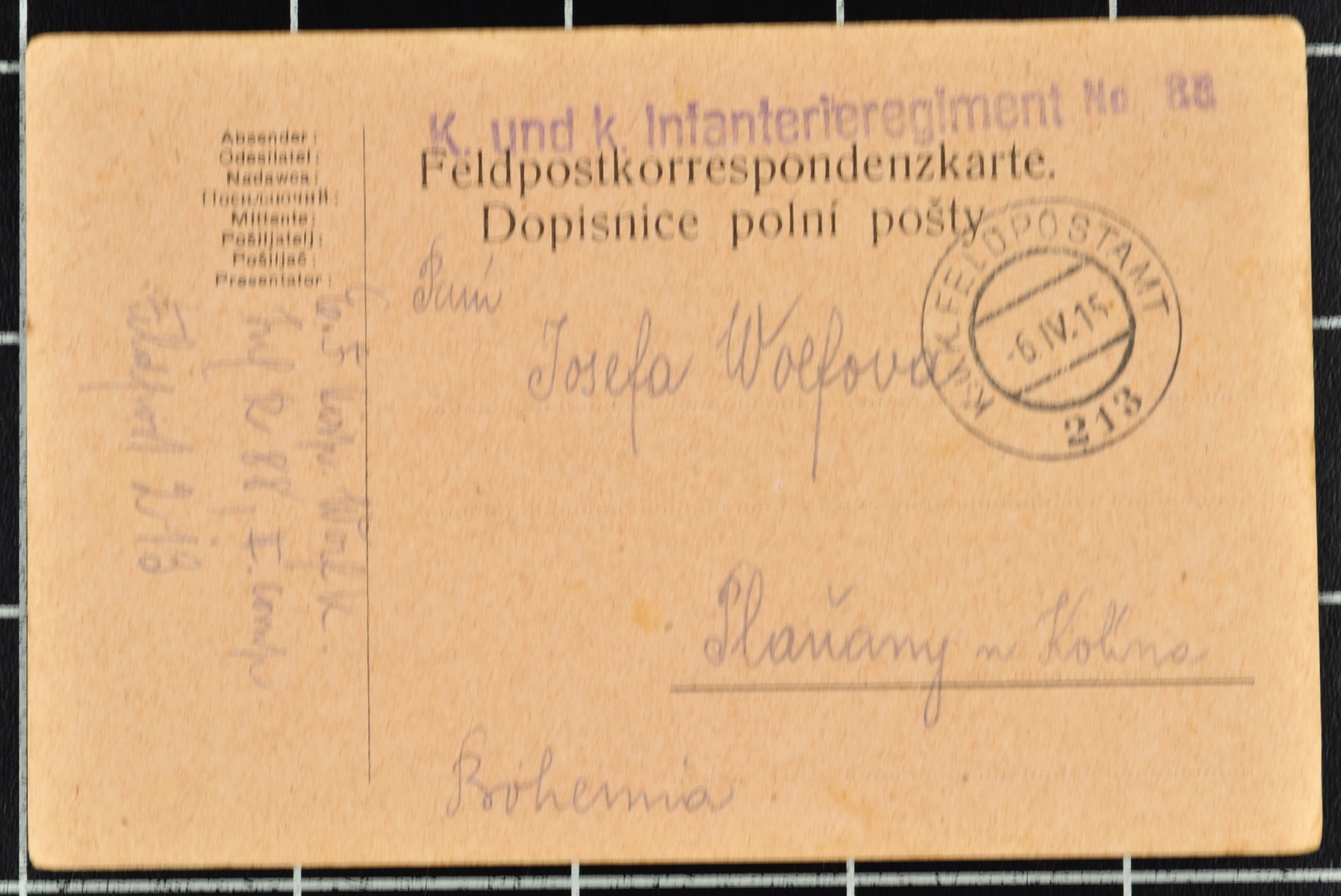 Náhledový obrázek Korespondence Karla Wolfa - 170