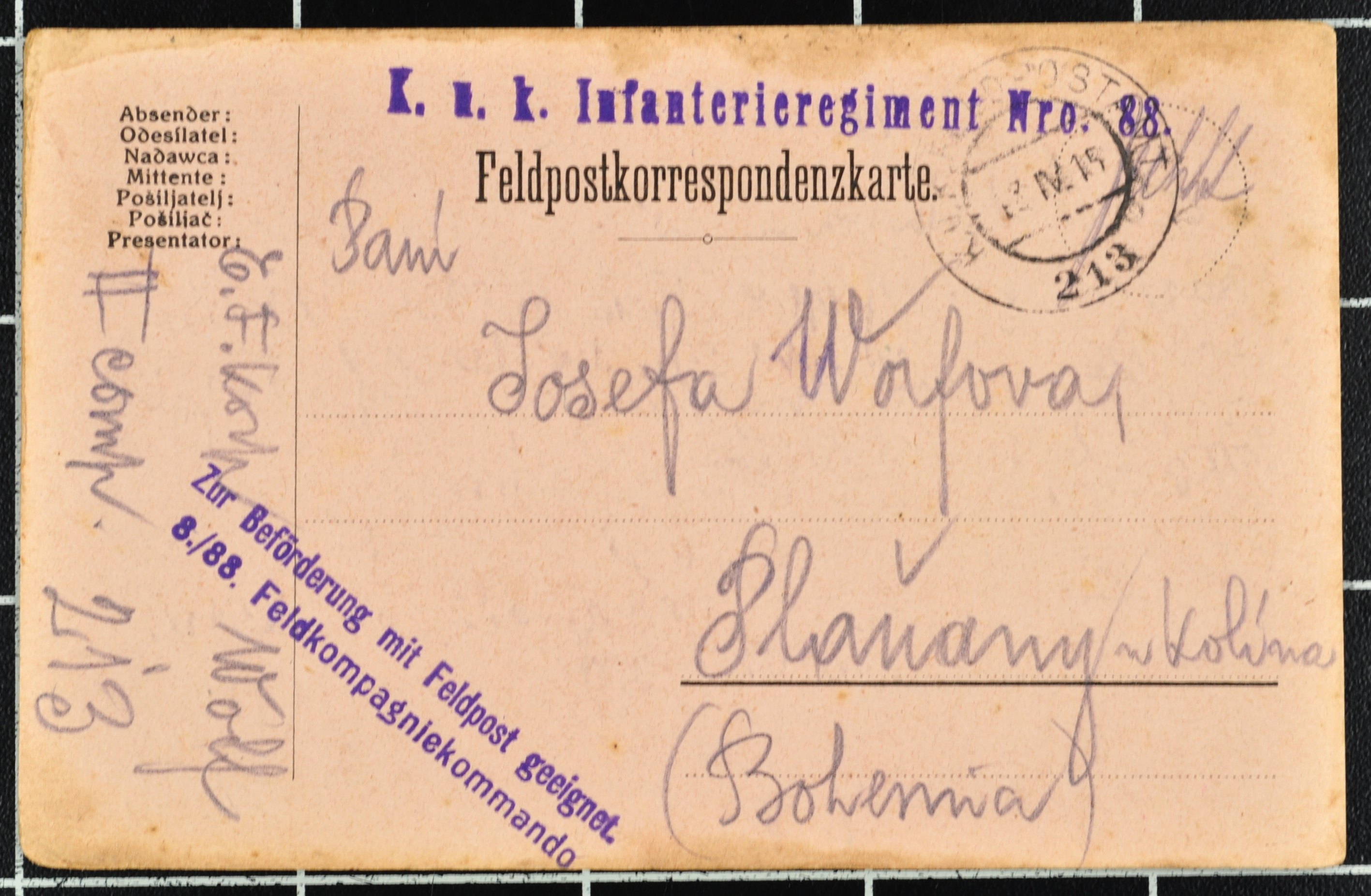 Náhledový obrázek Korespondence Karla Wolfa - 184