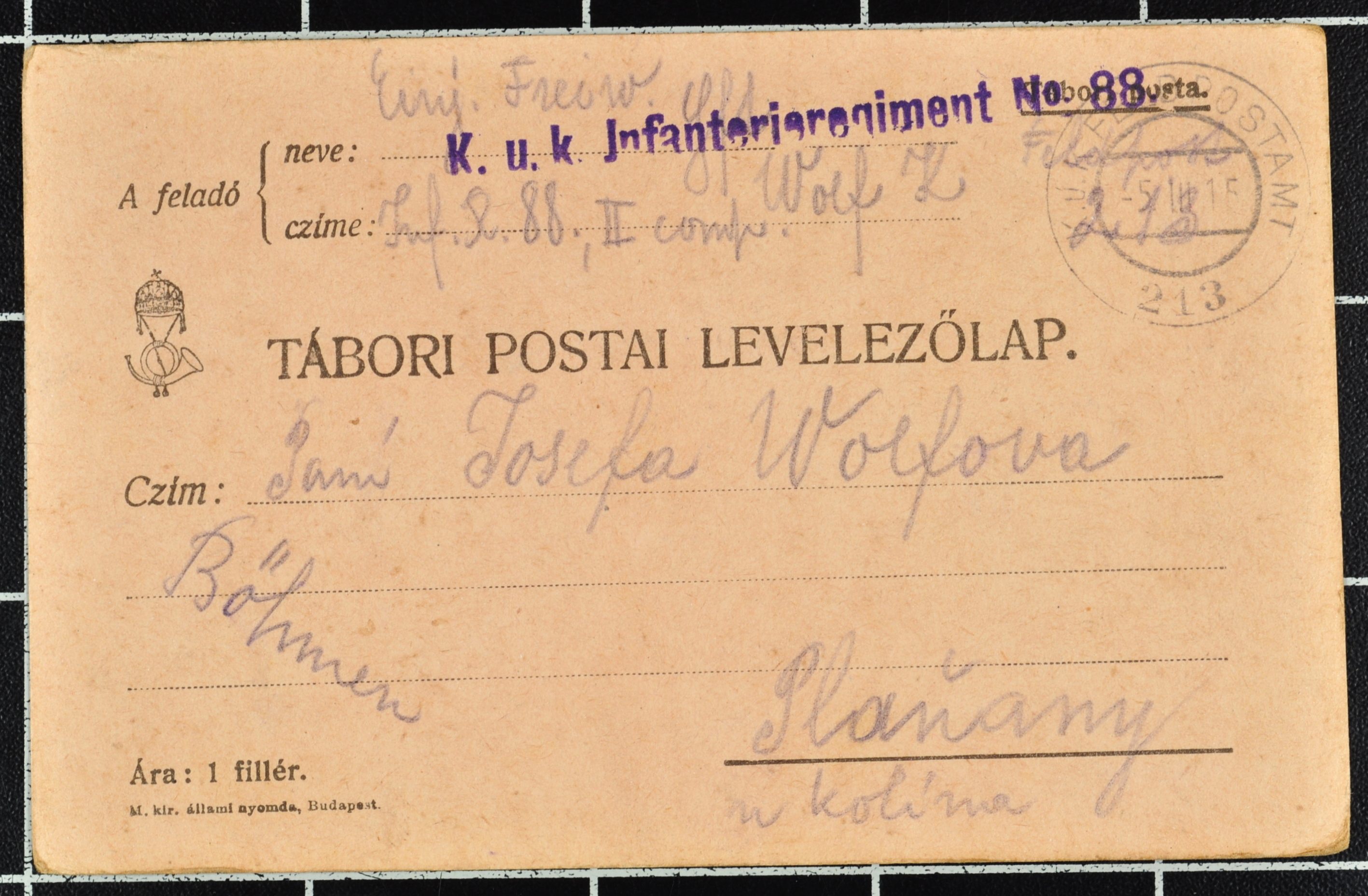 Náhledový obrázek Korespondence Karla Wolfa - 126