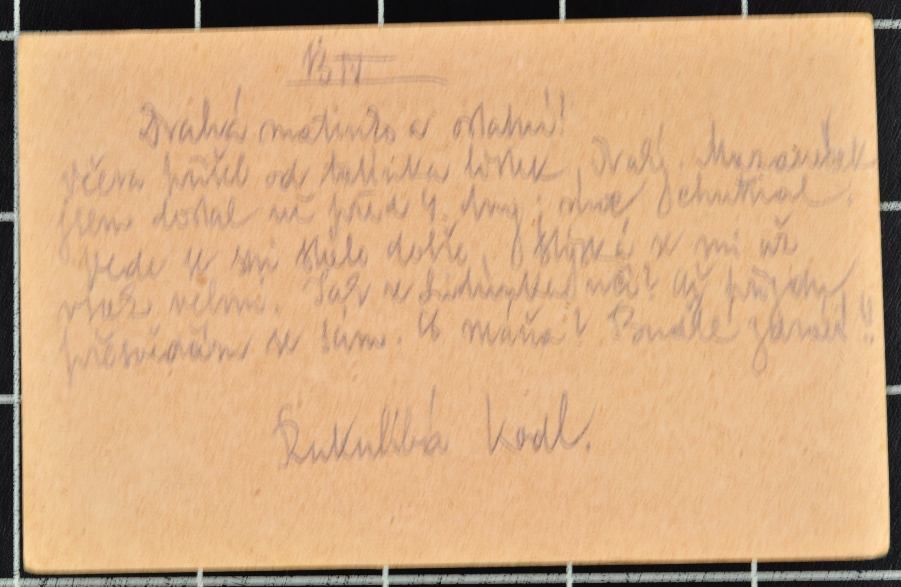 Náhledový obrázek Korespondence Karla Wolfa - 181