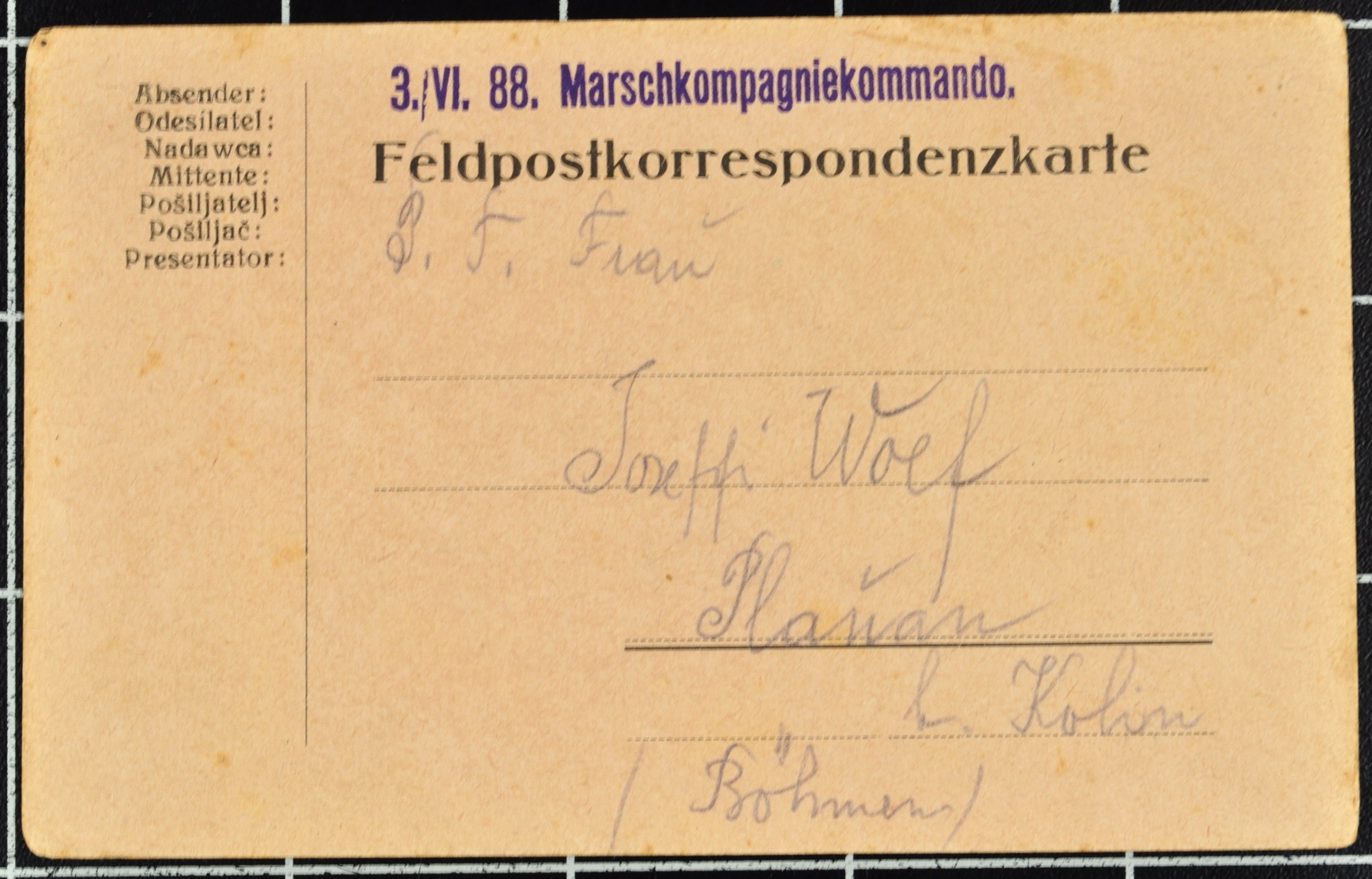 Náhledový obrázek Korespondence Karla Wolfa - 98