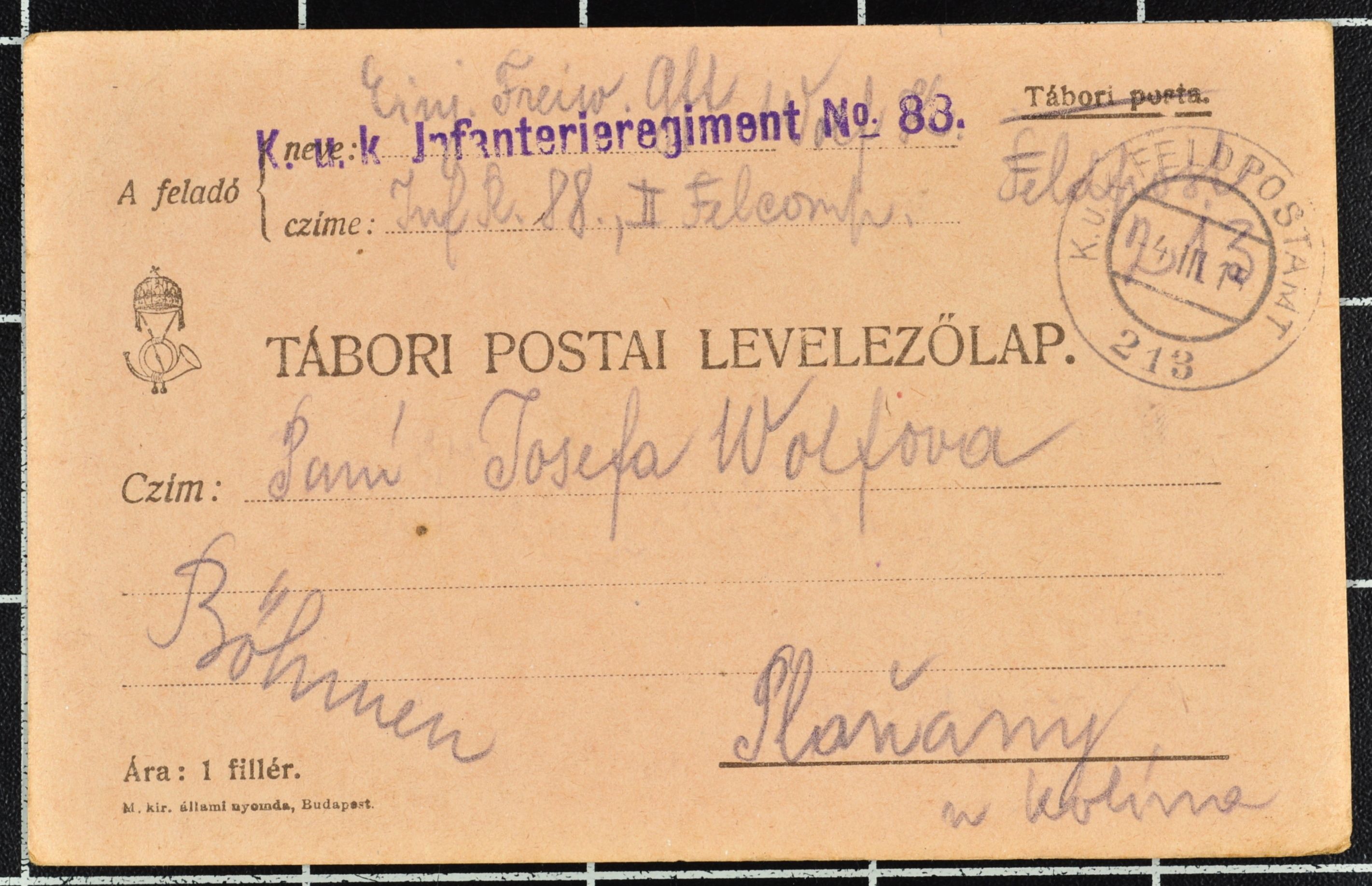 Náhledový obrázek Korespondence Karla Wolfa - 124