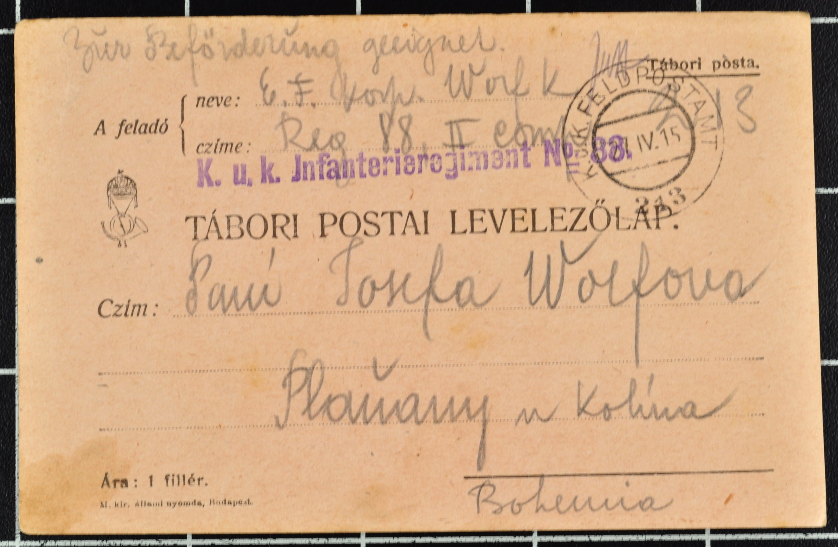 Náhledový obrázek Korespondence Karla Wolfa - 196