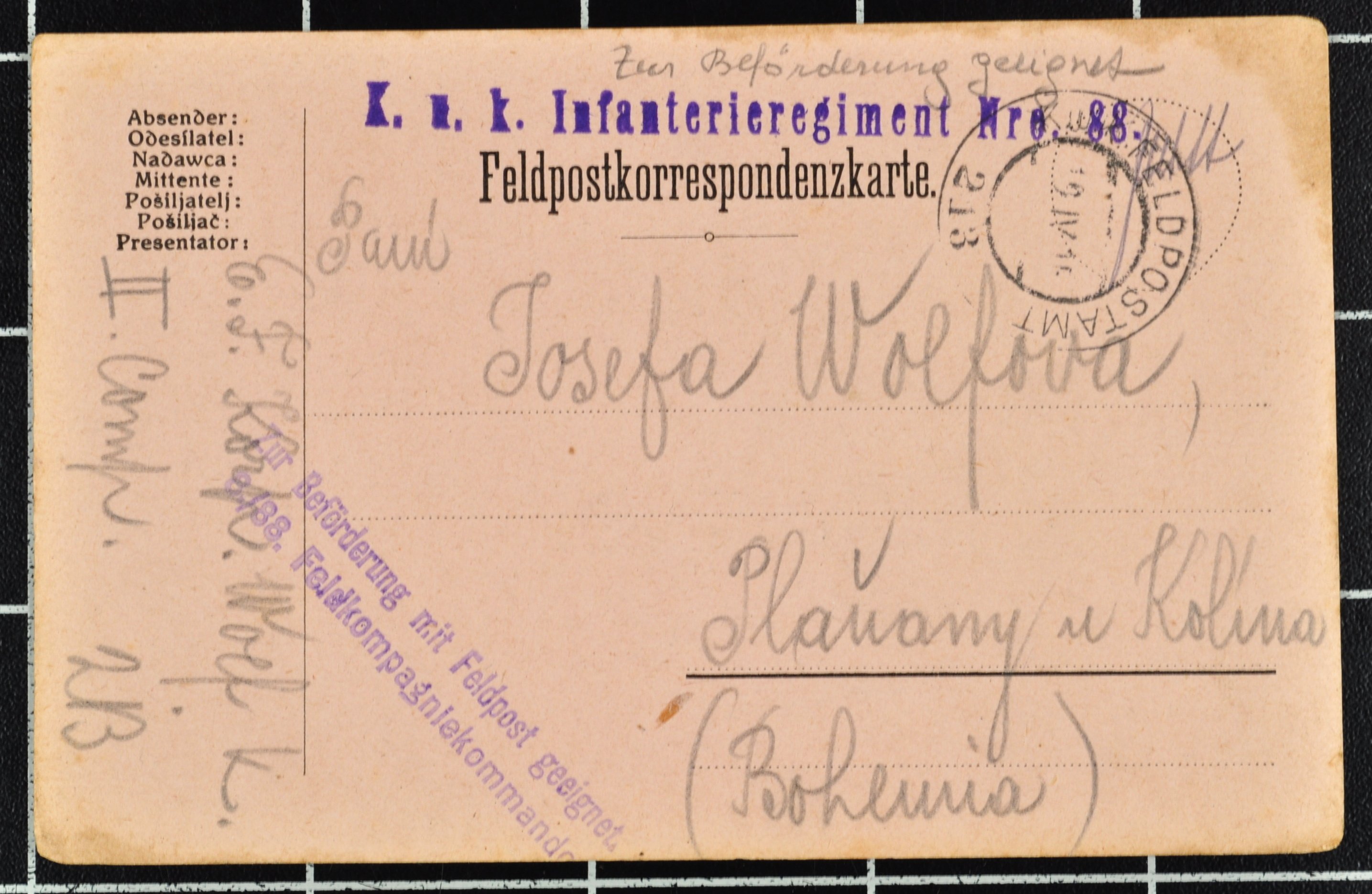 Náhledový obrázek Korespondence Karla Wolfa - 188