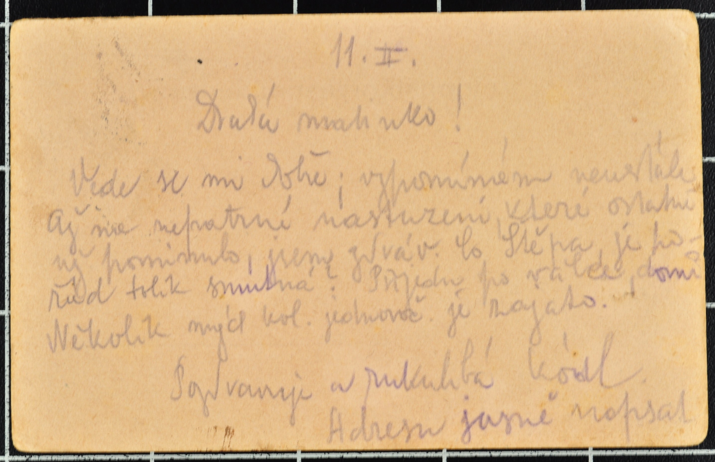 Náhledový obrázek Korespondence Karla Wolfa - 109