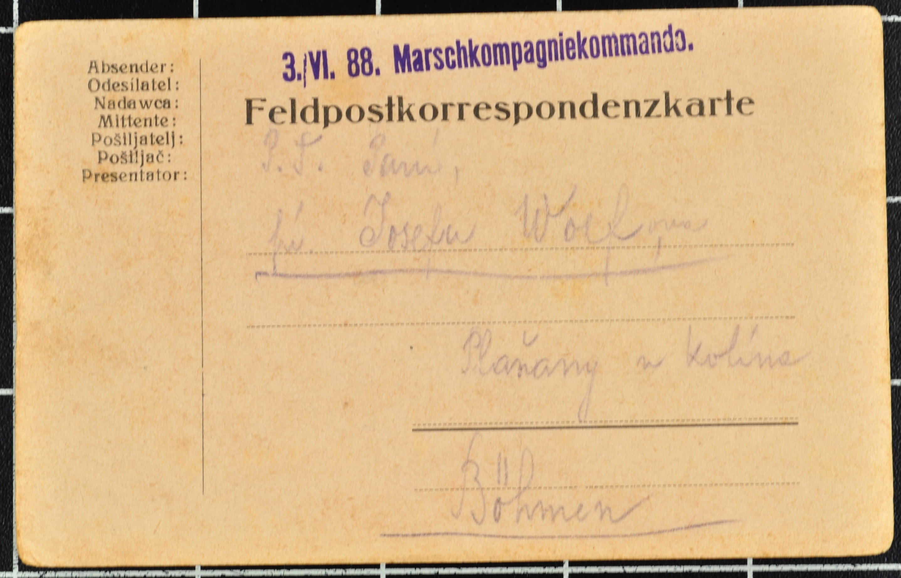 Náhledový obrázek Korespondence Karla Wolfa - 100