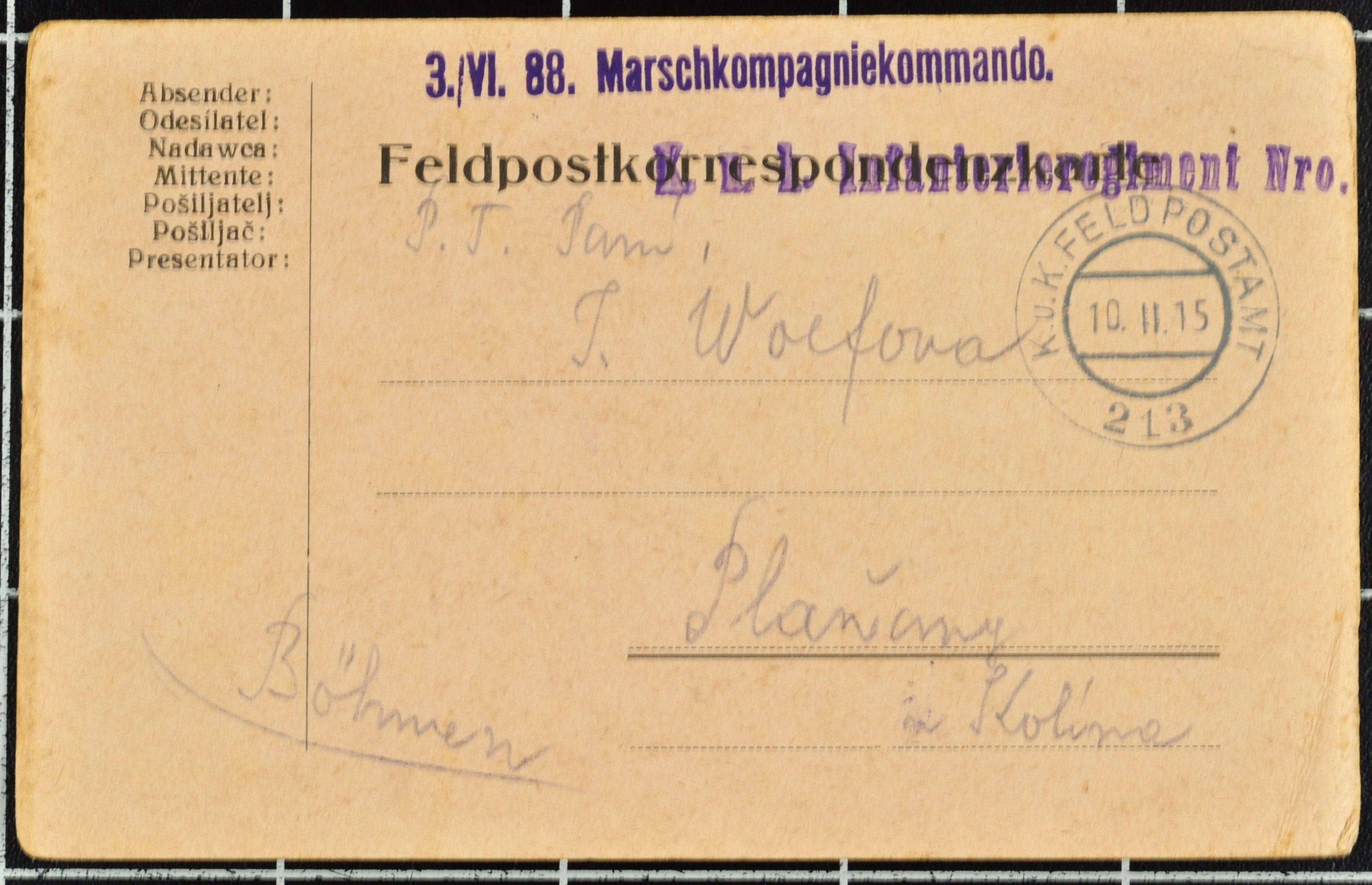 Náhledový obrázek Korespondence Karla Wolfa - 106