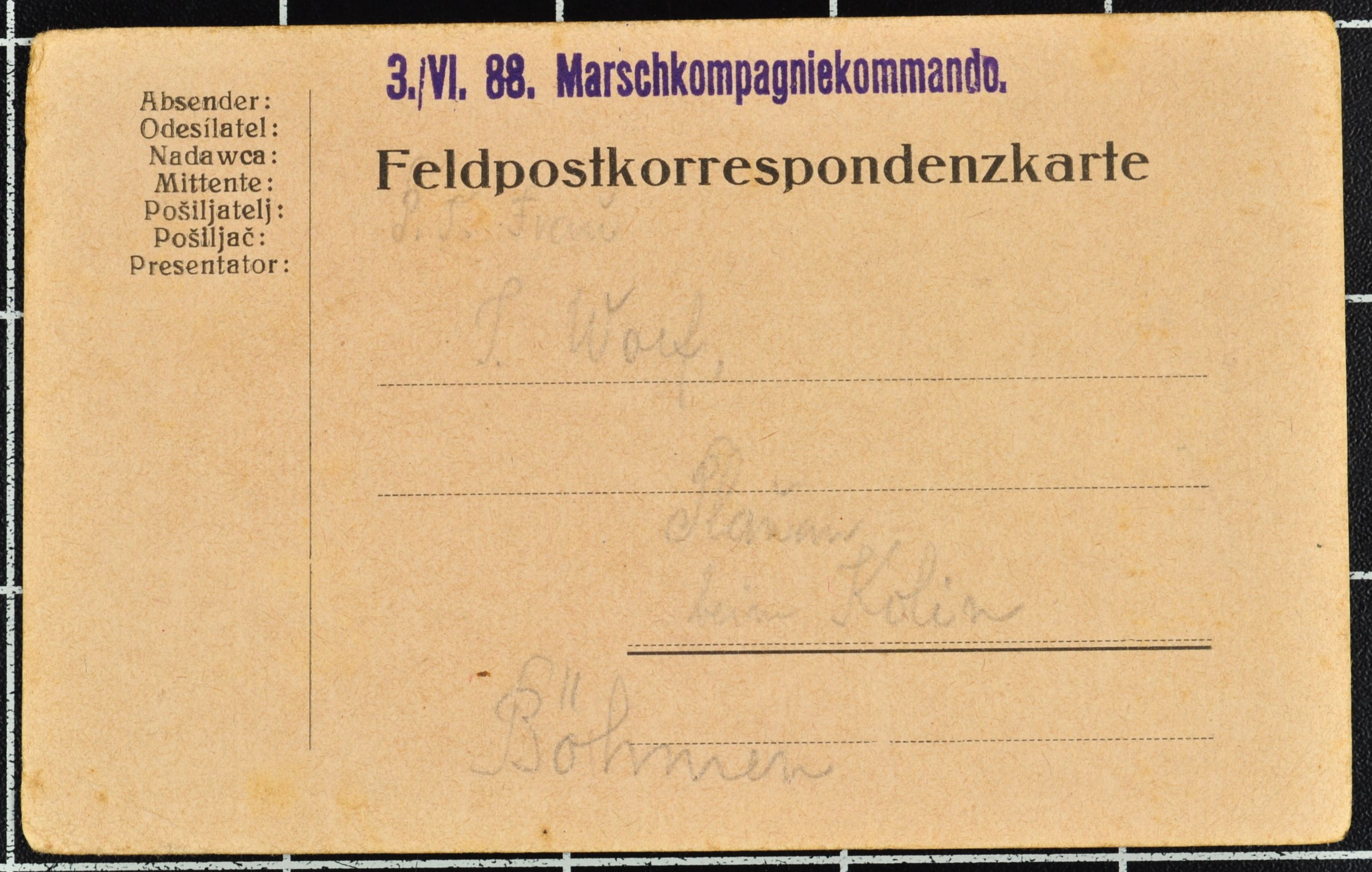 Náhledový obrázek Korespondence Karla Wolfa - 104
