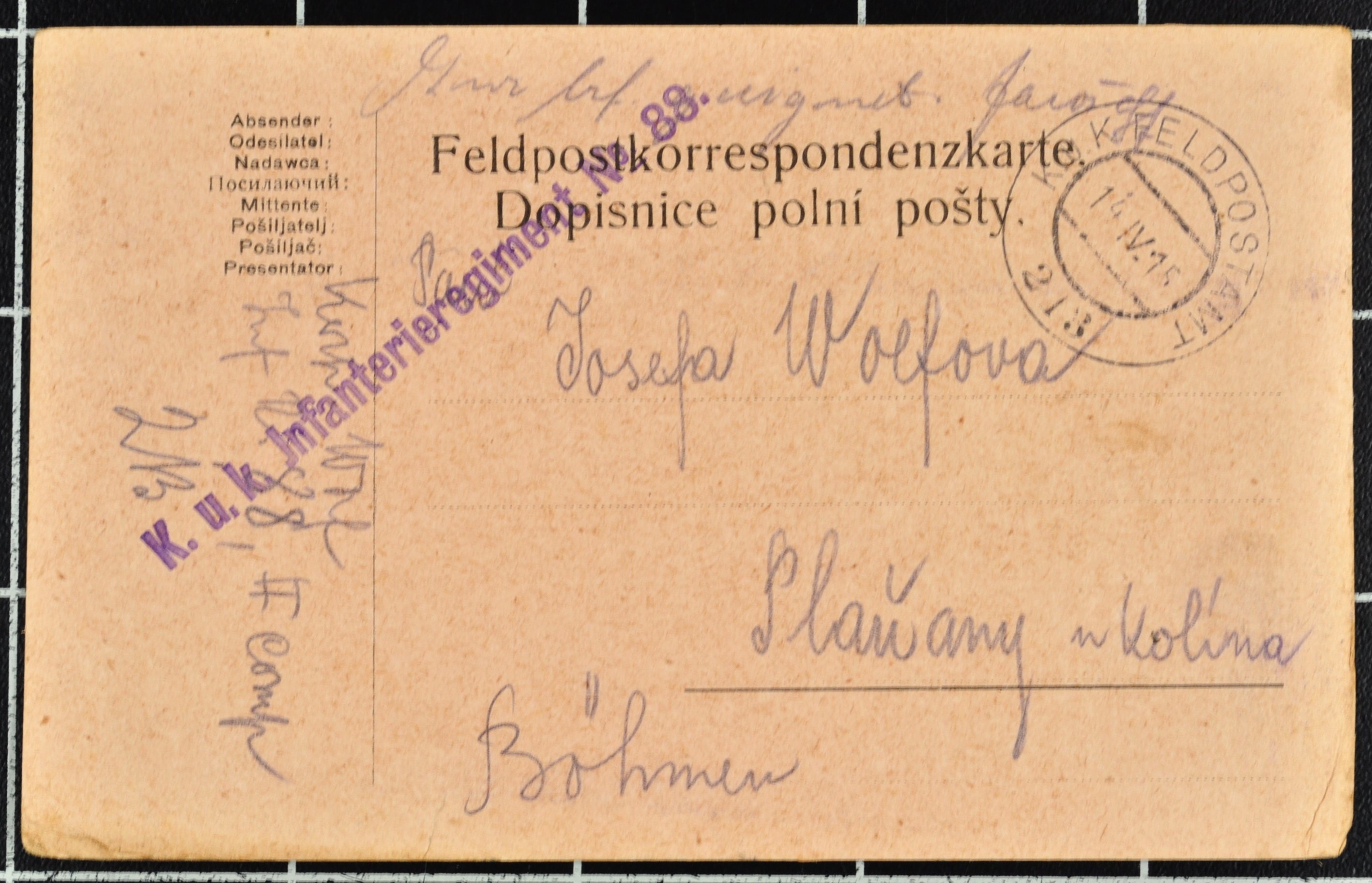 Náhledový obrázek Korespondence Karla Wolfa - 178