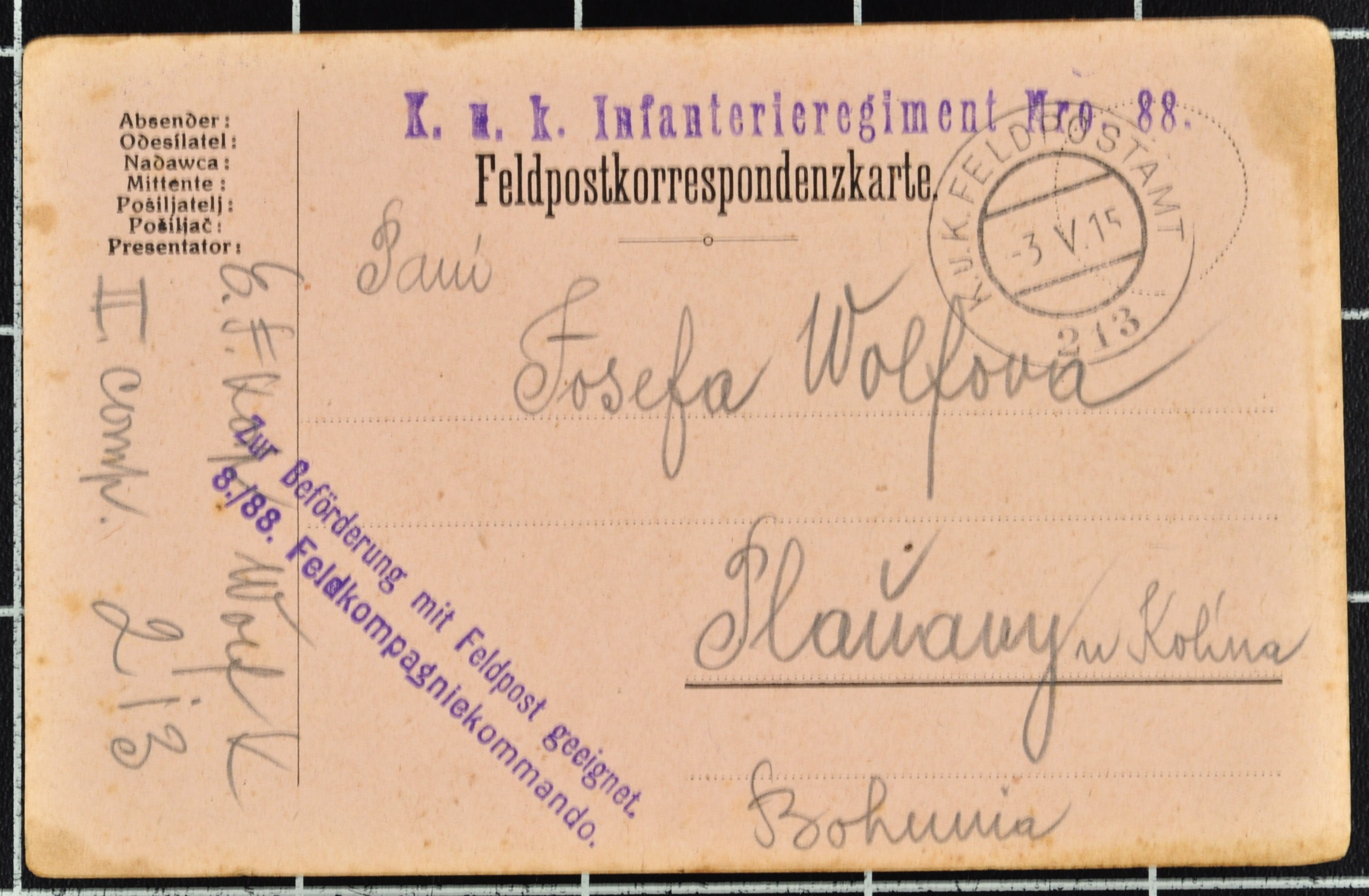 Náhledový obrázek Korespondence Karla Wolfa - 204
