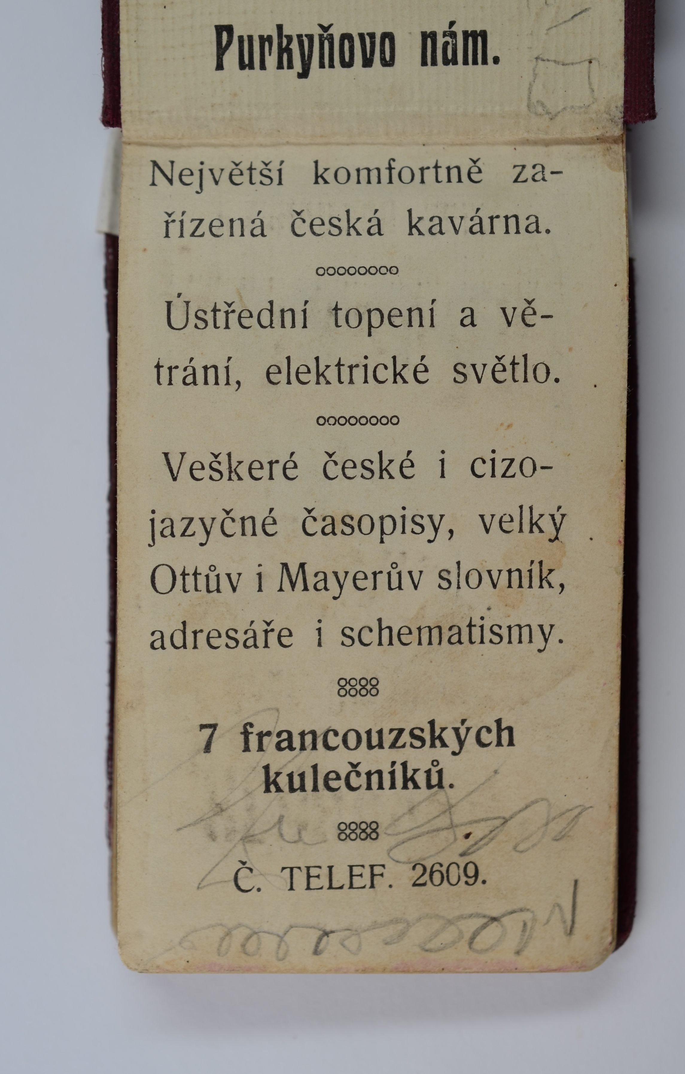 Náhledový obrázek Zápisníky Karla Ryanta - 4