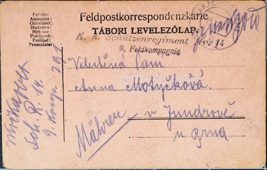 Náhledový obrázek Zpráva o zmizení Josefa Motyčky - 1