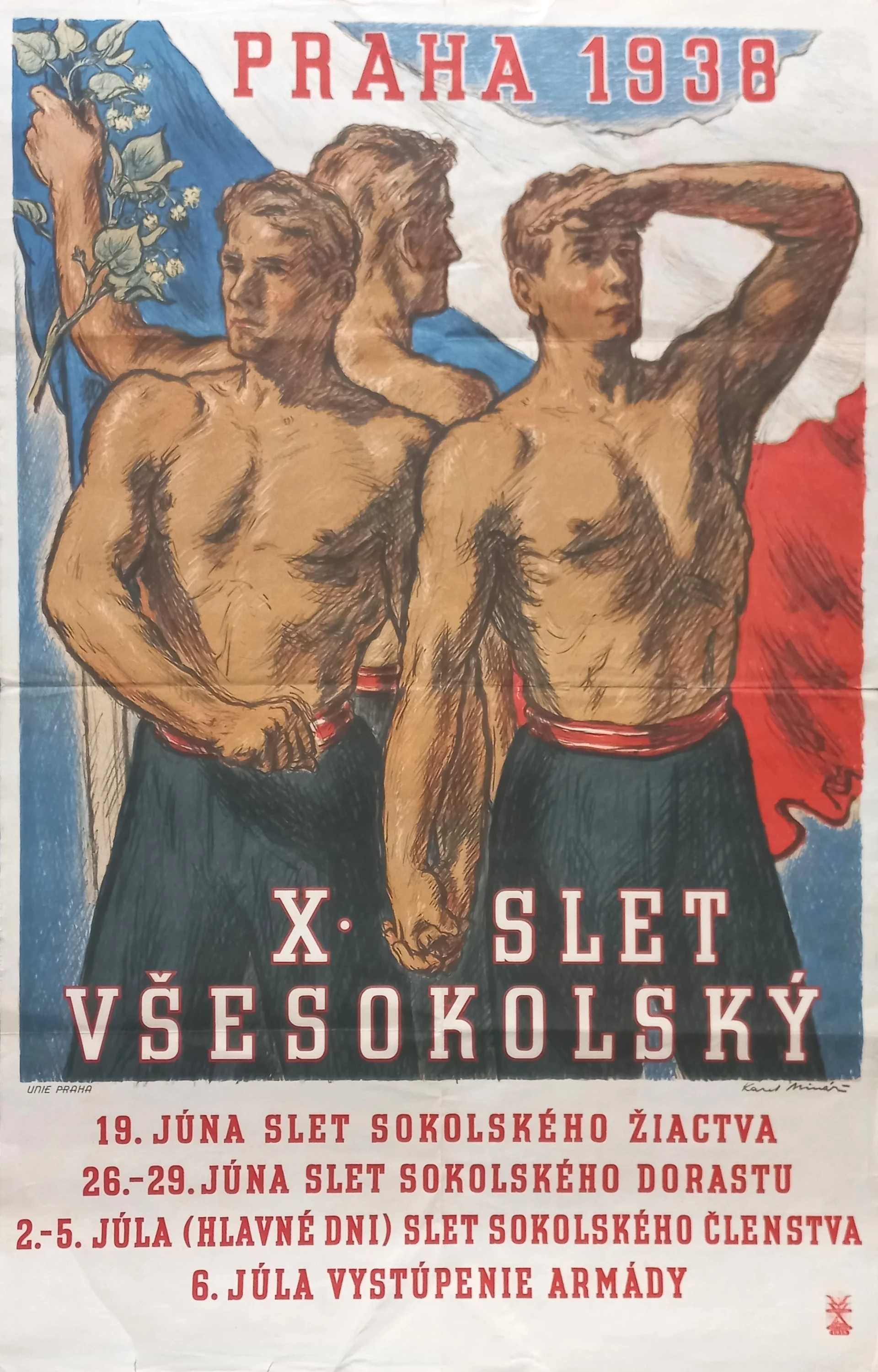 Náhledový obrázek předmětu X. všesokolský slet