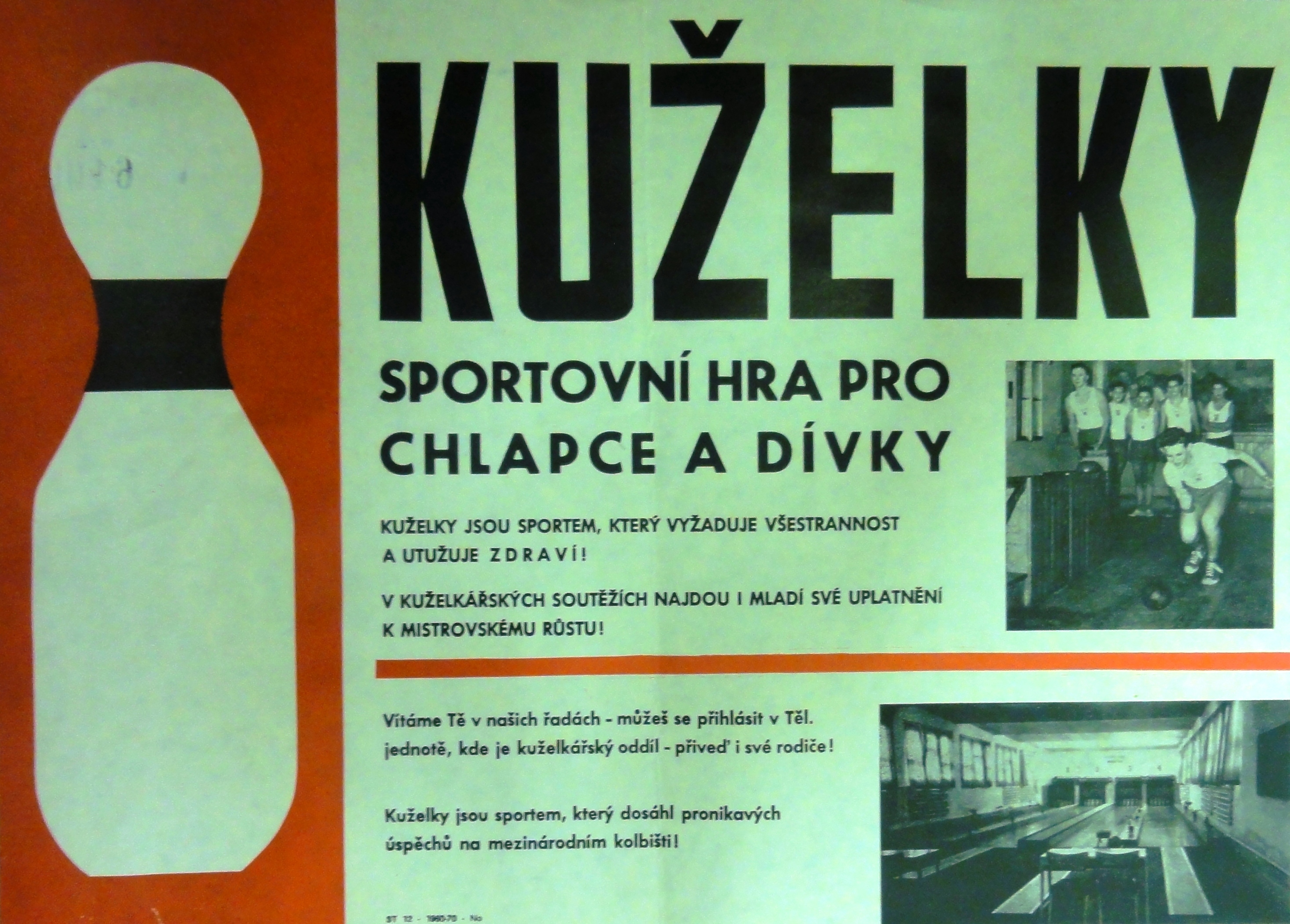 Náhledový obrázek Kuželky. Sportovní hra pro chlapce a dívky - 1