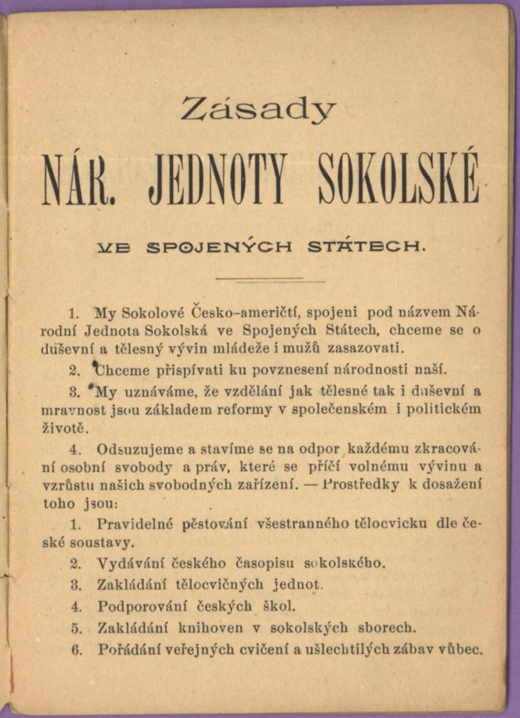Náhledový obrázek Stanovy Národní Jednoty Sokolské ve Spojených státech - 2