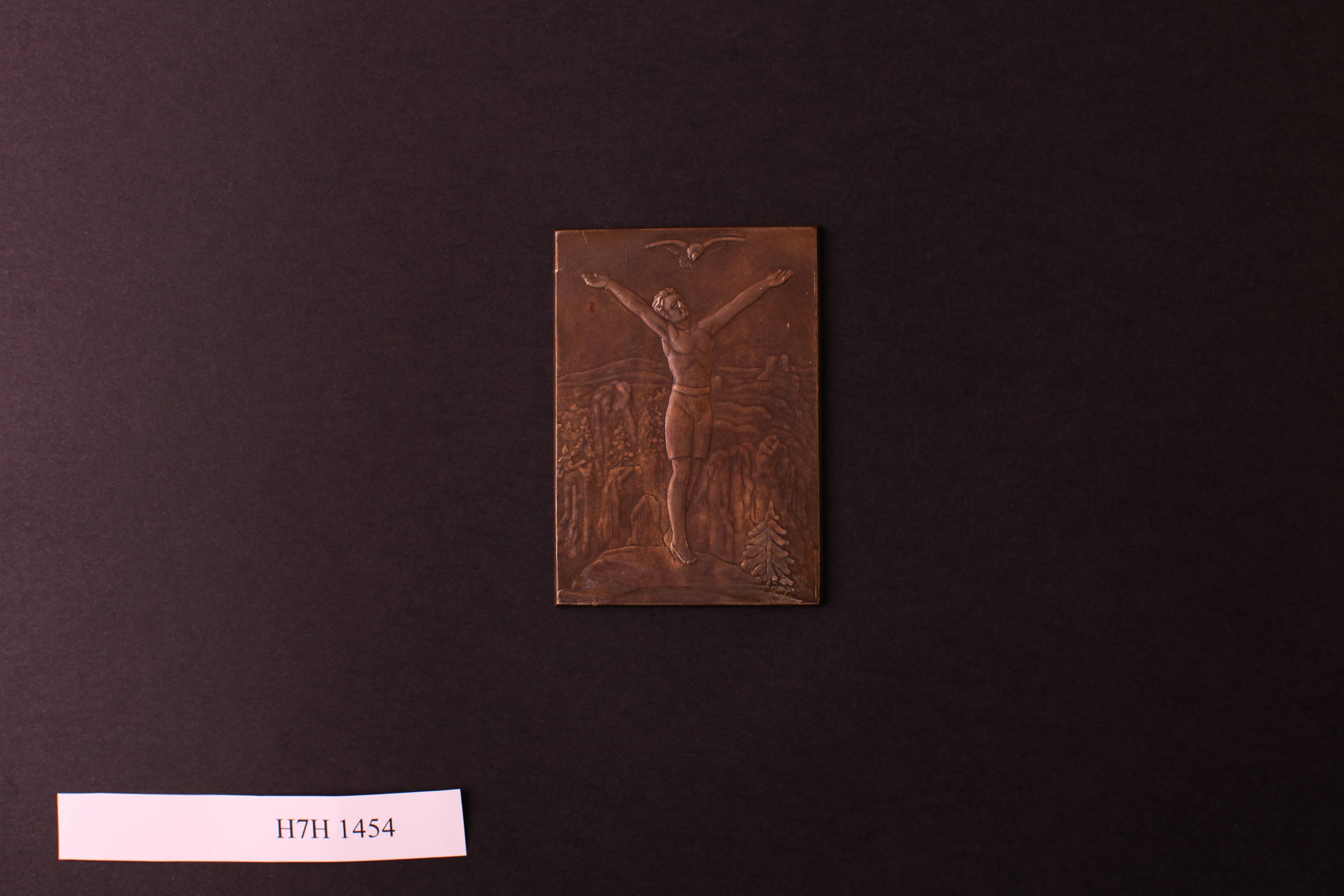 Náhledový obrázek Plaketa ze závodu dorostu VIII. sletu - 2