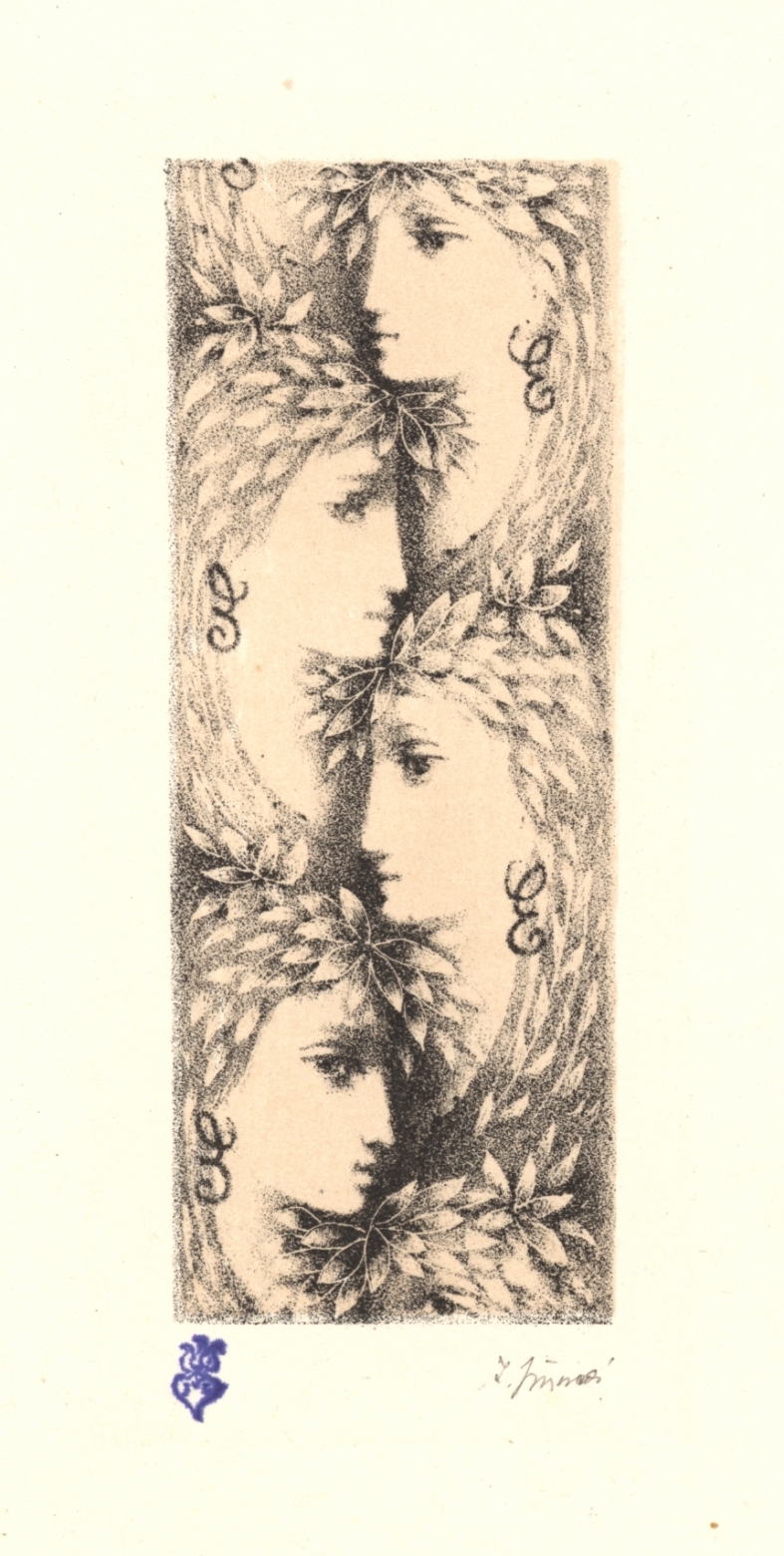 Náhledový obrázek Exlibris Eva Tamassy - 1