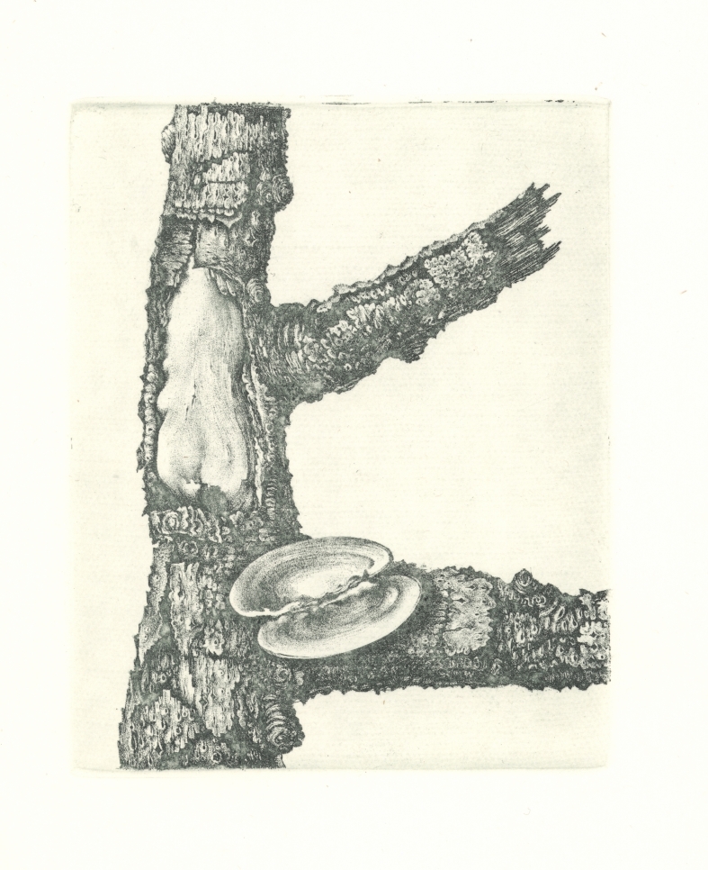 Náhledový obrázek Ilustrace - Sedm sonetů - 1