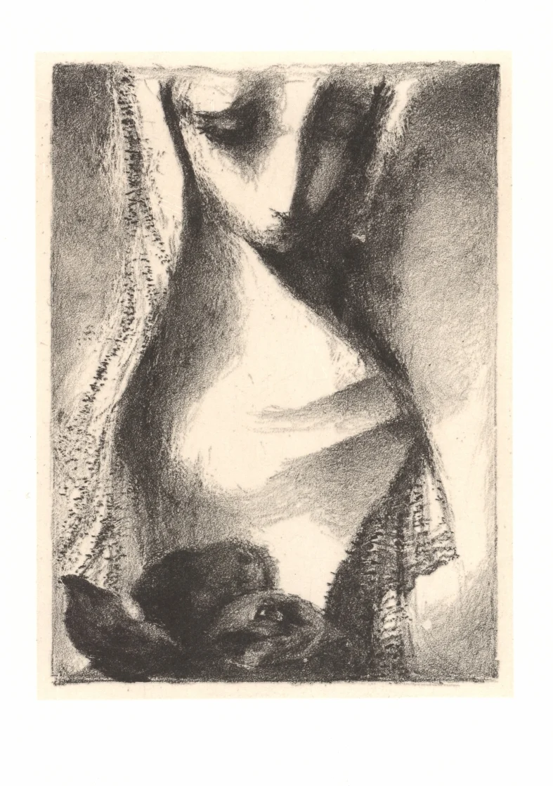 Náhledový obrázek předmětu Ilustrace - Sonety