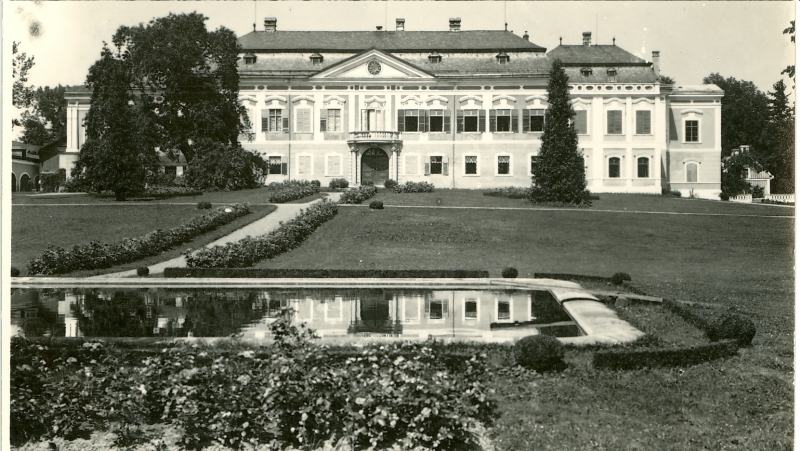 Náhledový obrázek Fotografie - 1