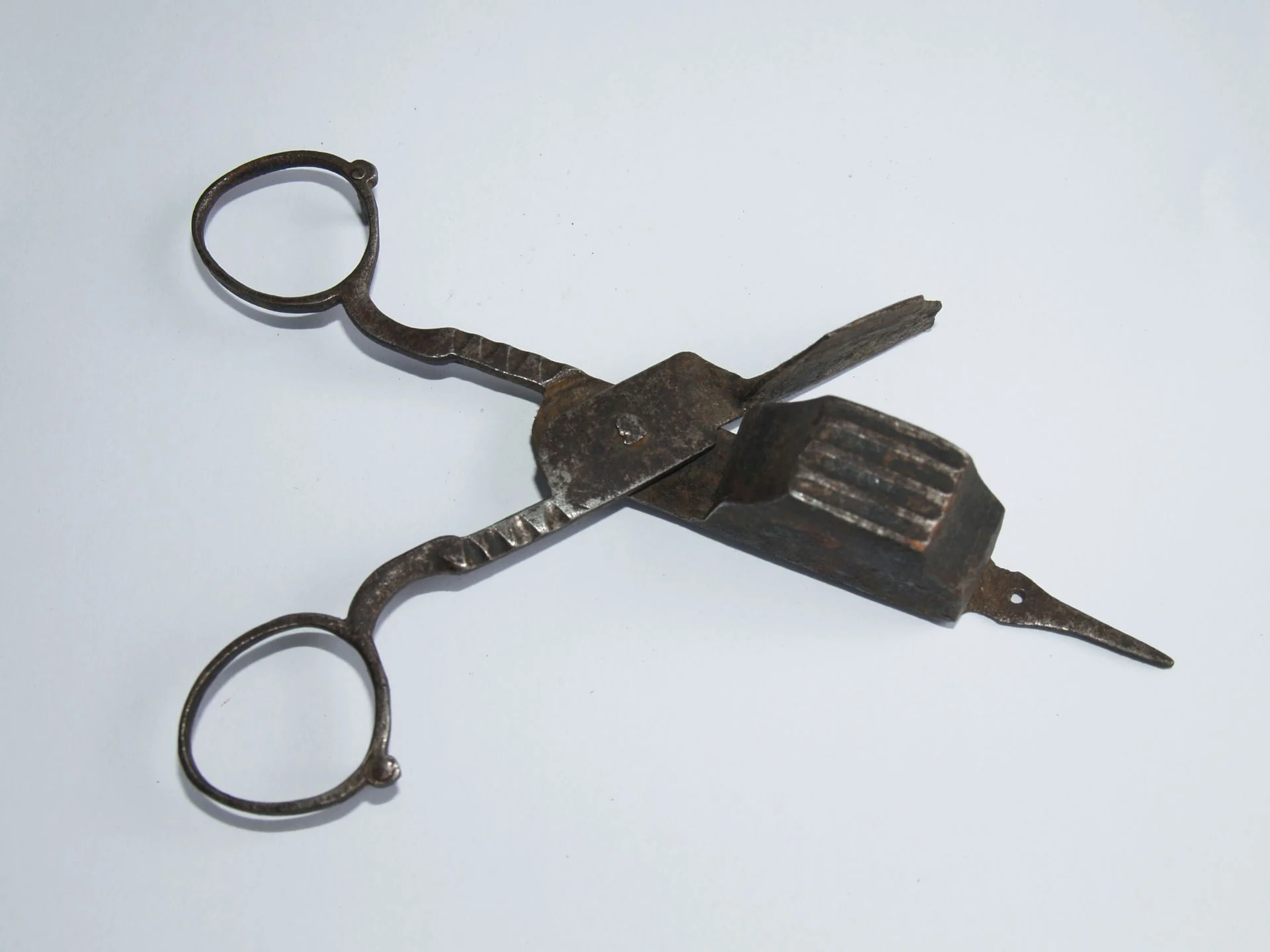 Obrázek Kratiknot