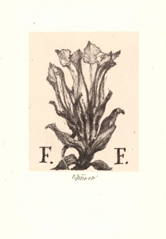 Náhledový obrázek předmětu Exlibris F. Franc