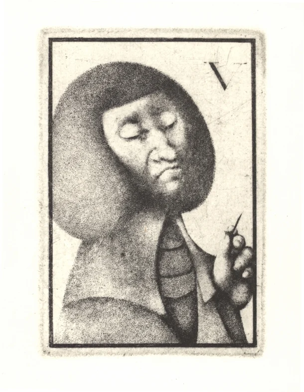 Náhledový obrázek předmětu Nepoužitá ilustrace - Portret van Francois