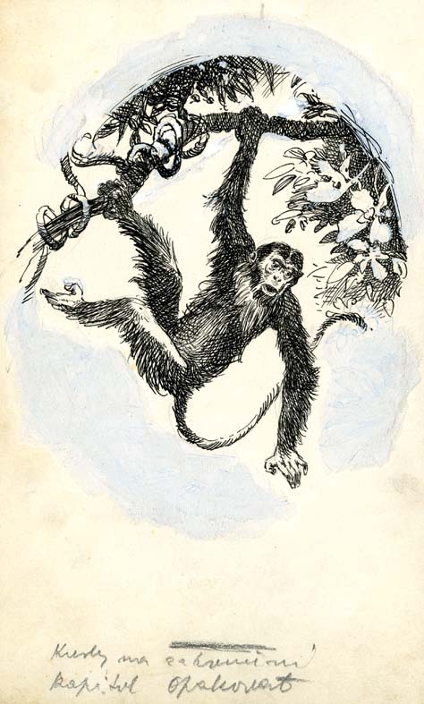 Náhledový obrázek Ilustrace - Rok v džungli - 1