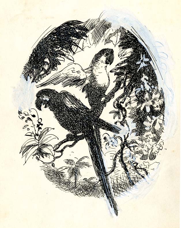 Náhledový obrázek Ilustrace - Rok v džungli - 1