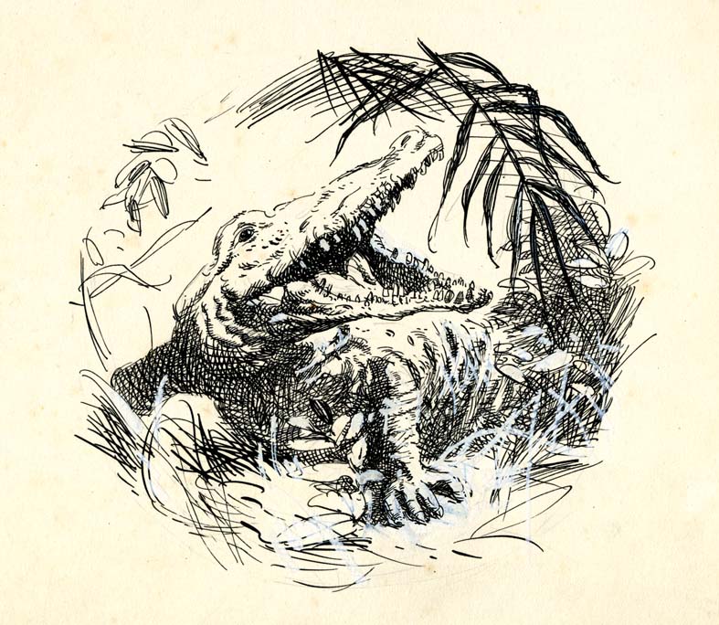 Náhledový obrázek Ilustrace - Rok v džungli - 1