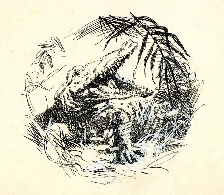 Náhledový obrázek předmětu Ilustrace - Rok v džungli