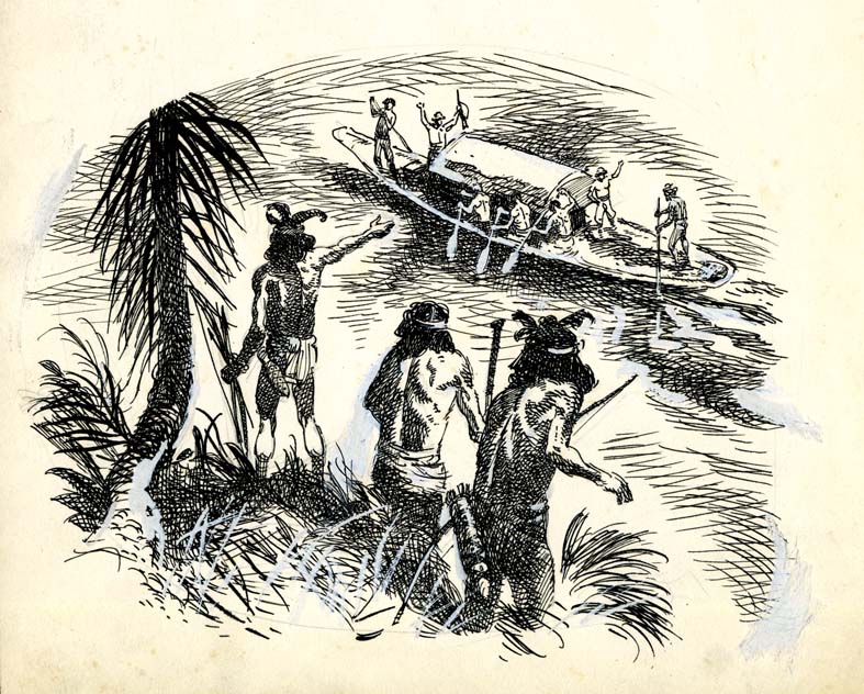 Náhledový obrázek Ilustrace - Rok v džungli - 1